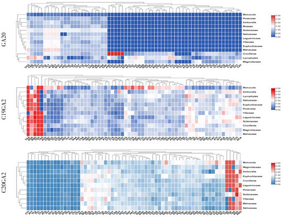 【貴重！！】Loz'a≠Veria（ロズ・ア・ベリア）／genetic code Genotype–phenotype correlations and disease mechanisms in