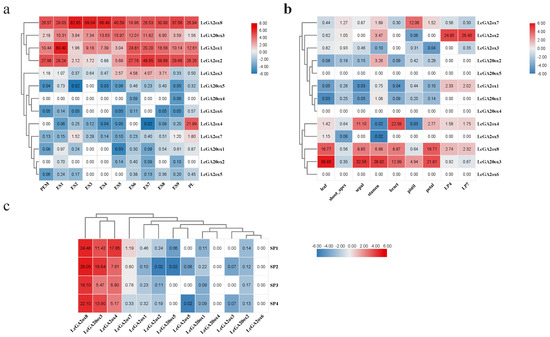 Gibberellin Oxidase Gene Family in L. chinense: Genome-Wide