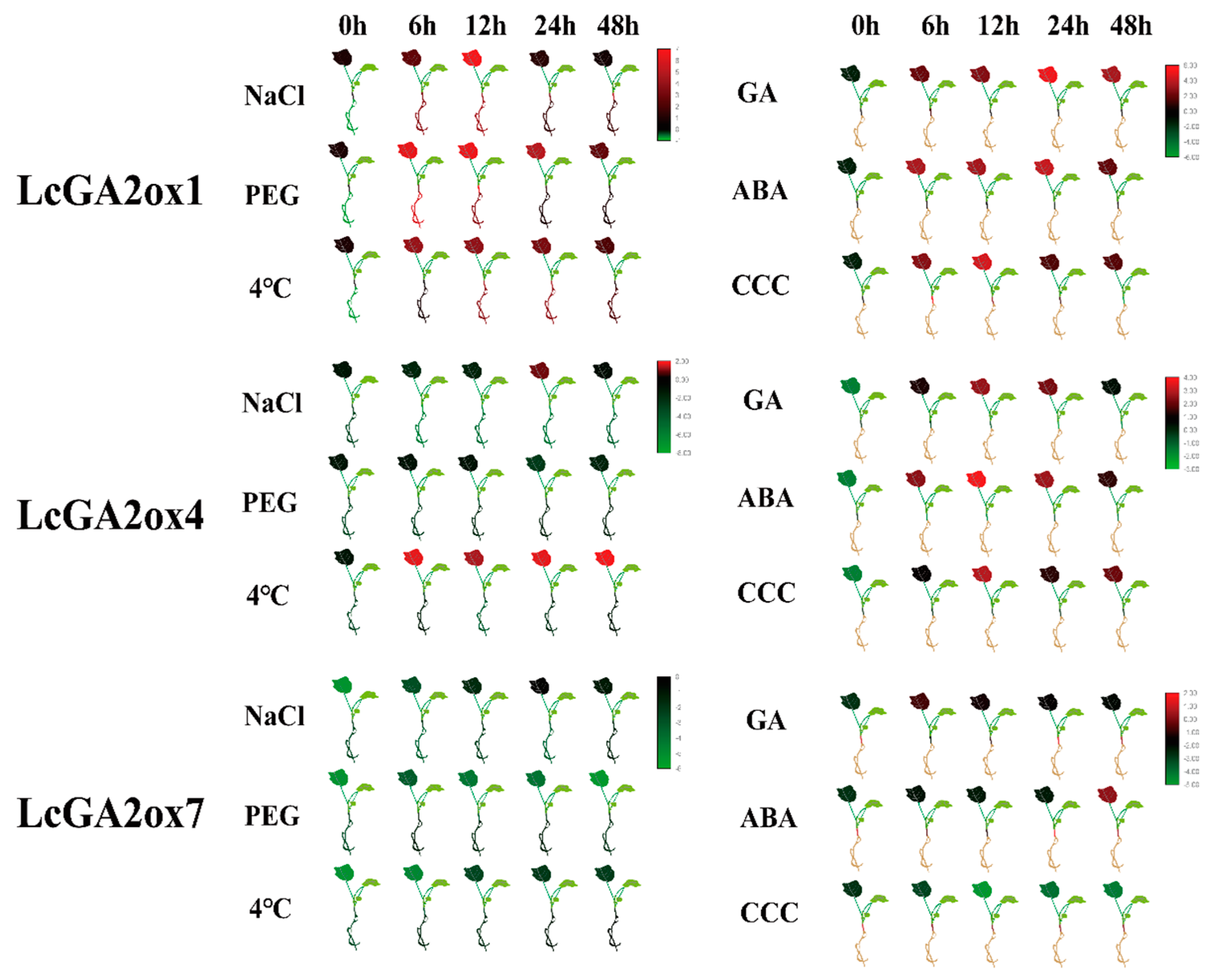 Ijms 22 07167 g010 550