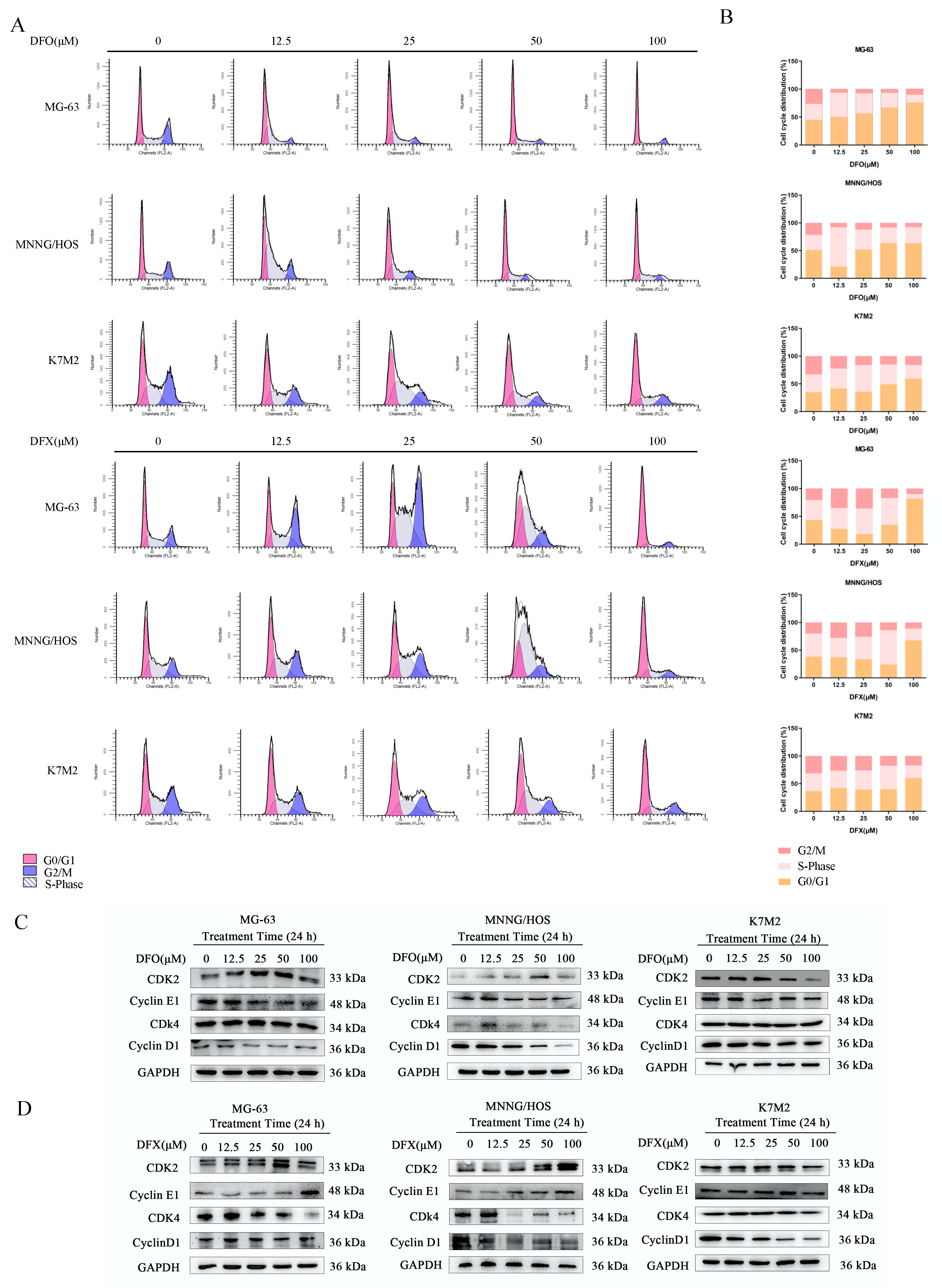 Ijms 22 07168 g002 Ijms 22 07168 g002