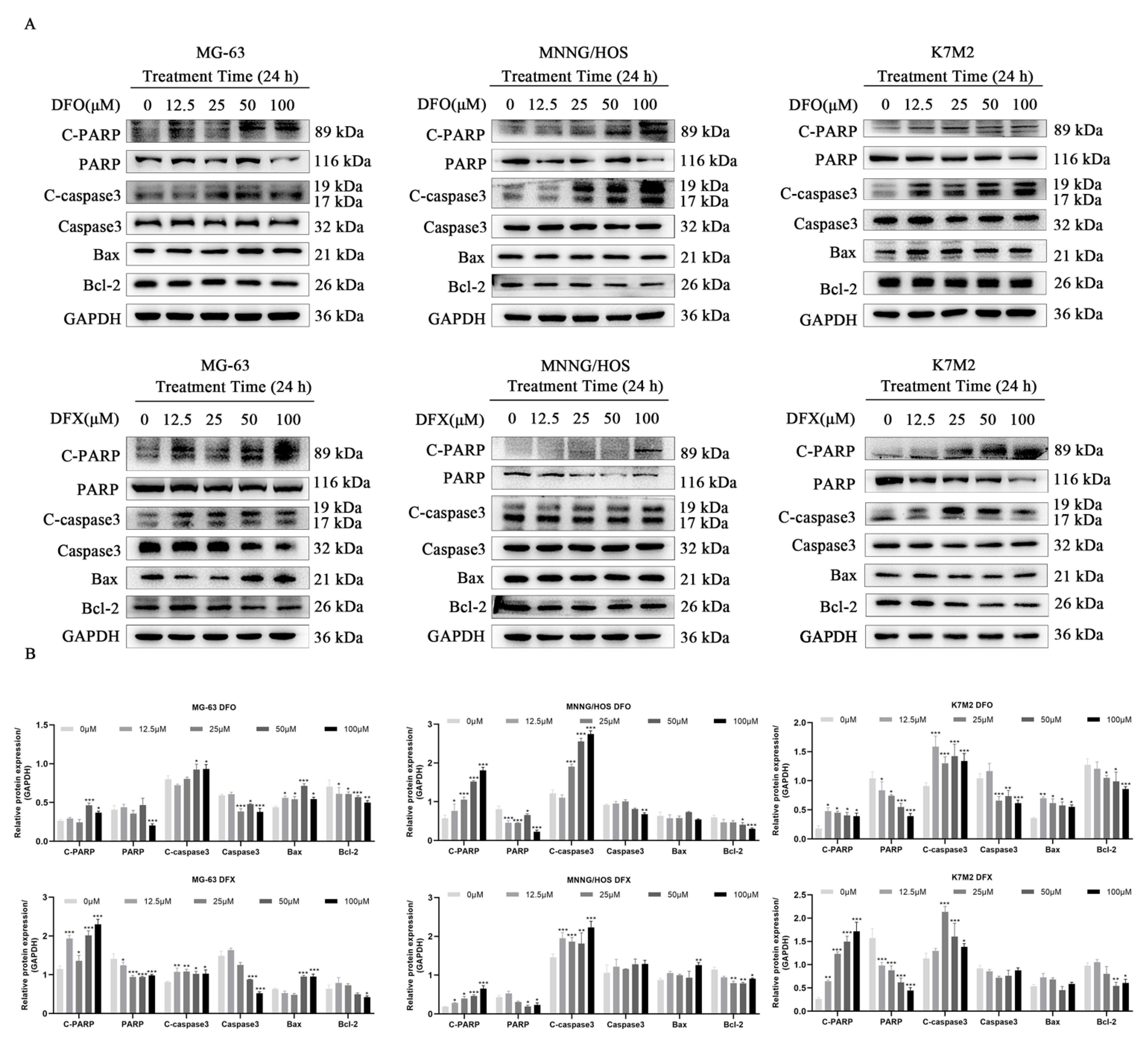 Ijms 22 07168 g005 Ijms 22 07168 g005