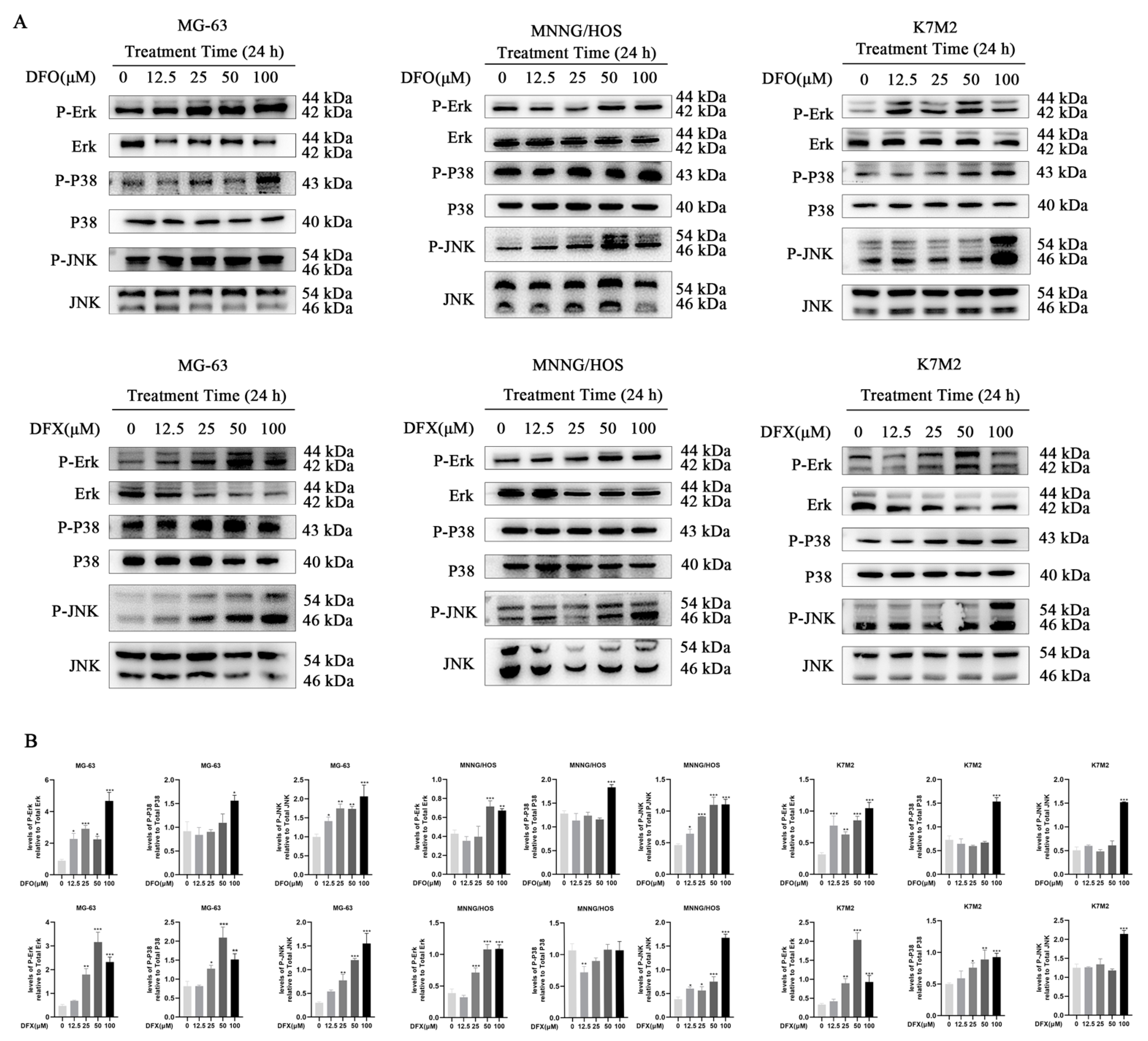 Ijms 22 07168 g006 Ijms 22 07168 g006