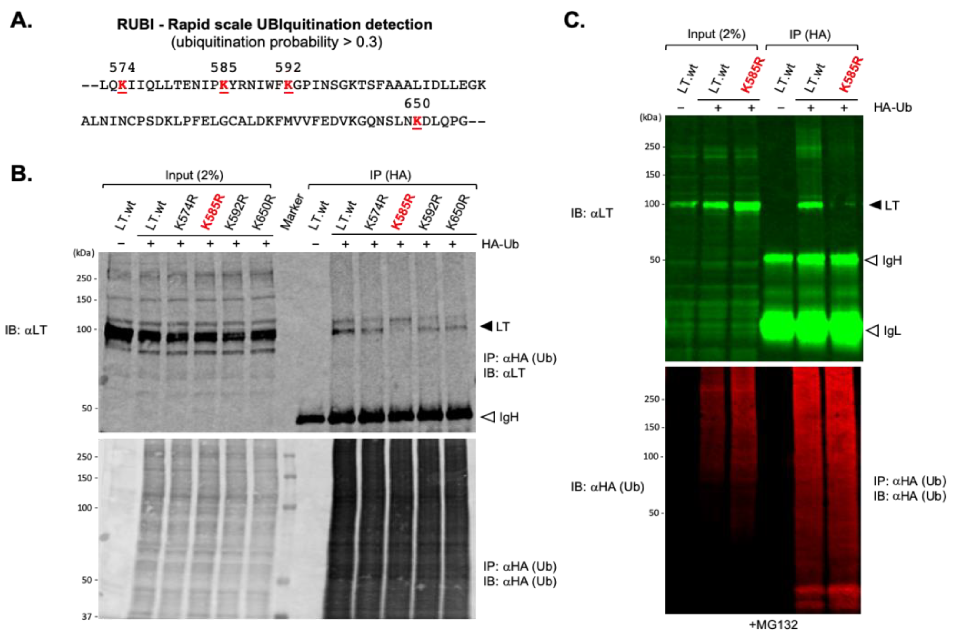 Ijms 22 07169 g003 550