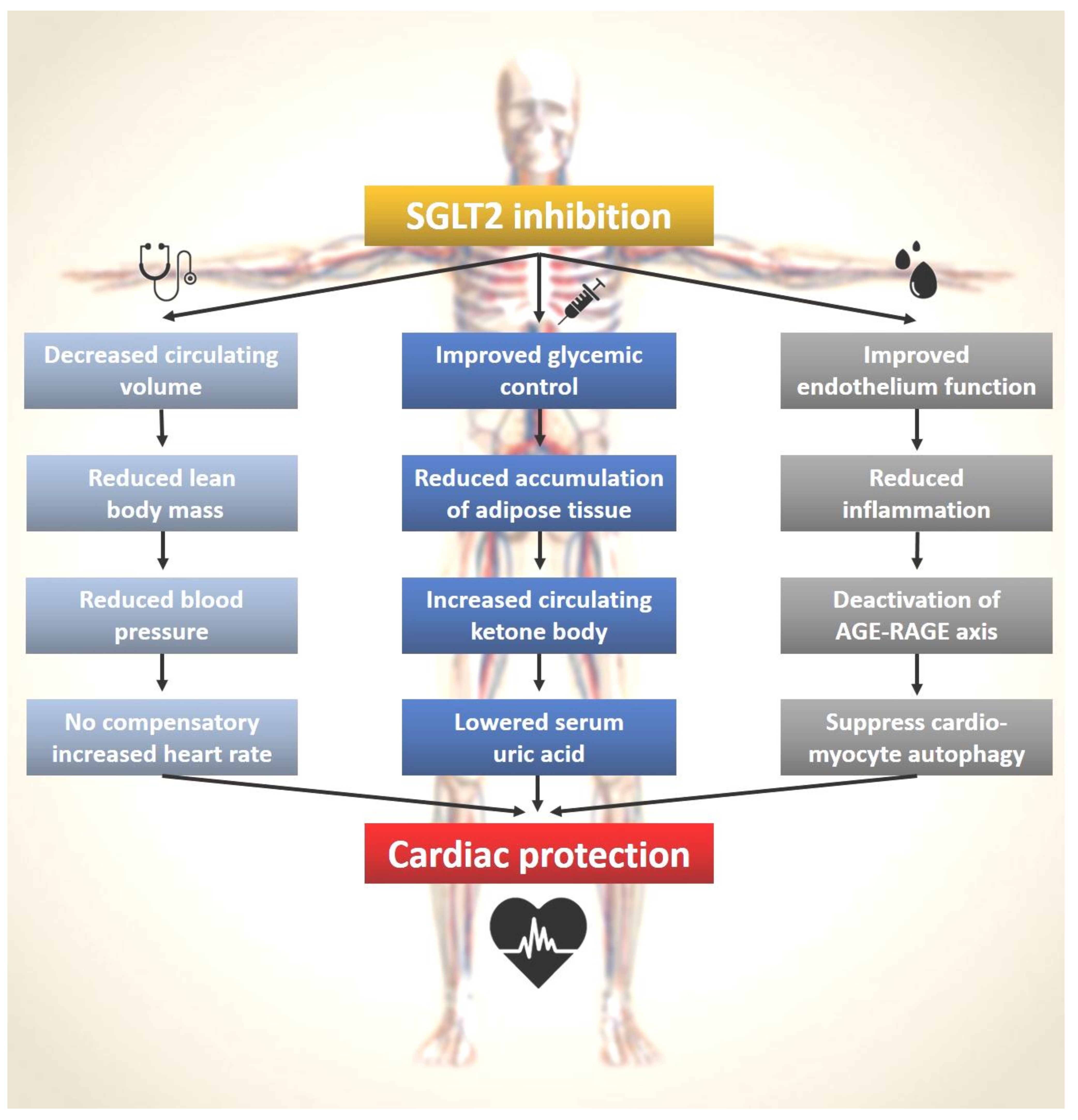 Ijms 22 07170 g002 550