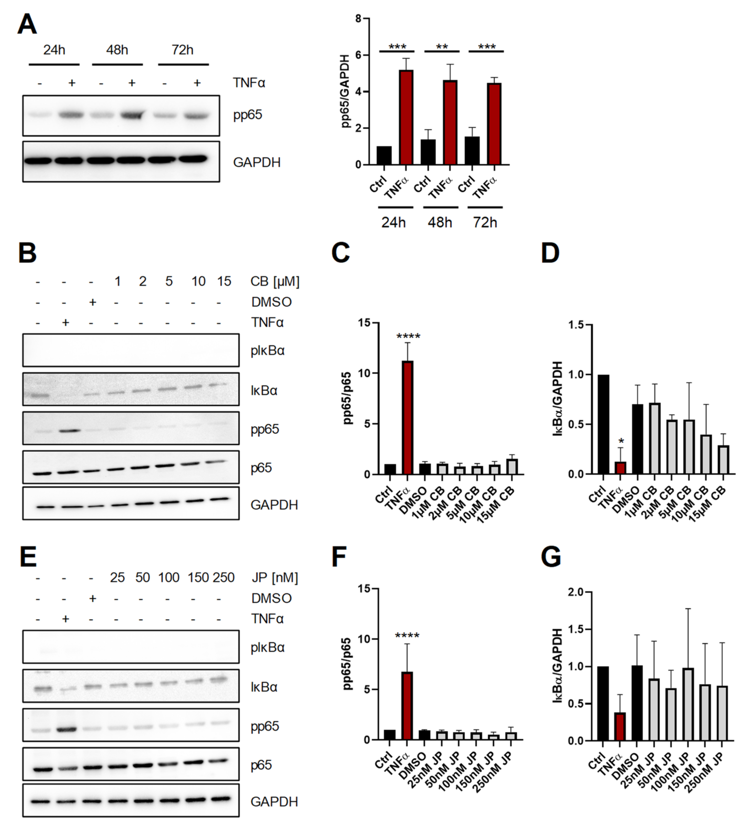 Ijms 22 07171 g001 550