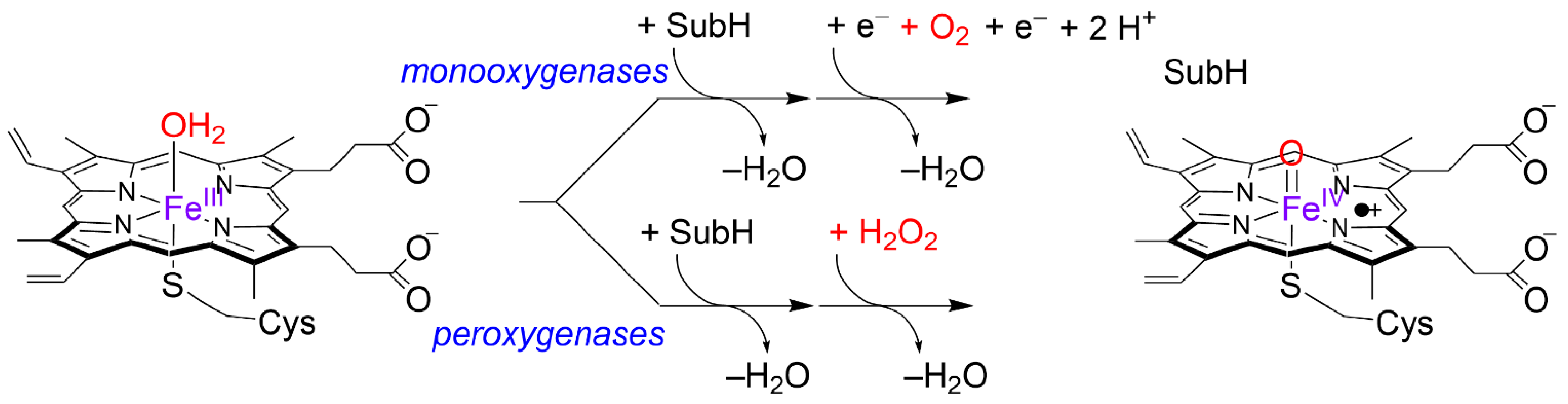 Ijms 22 07172 sch001