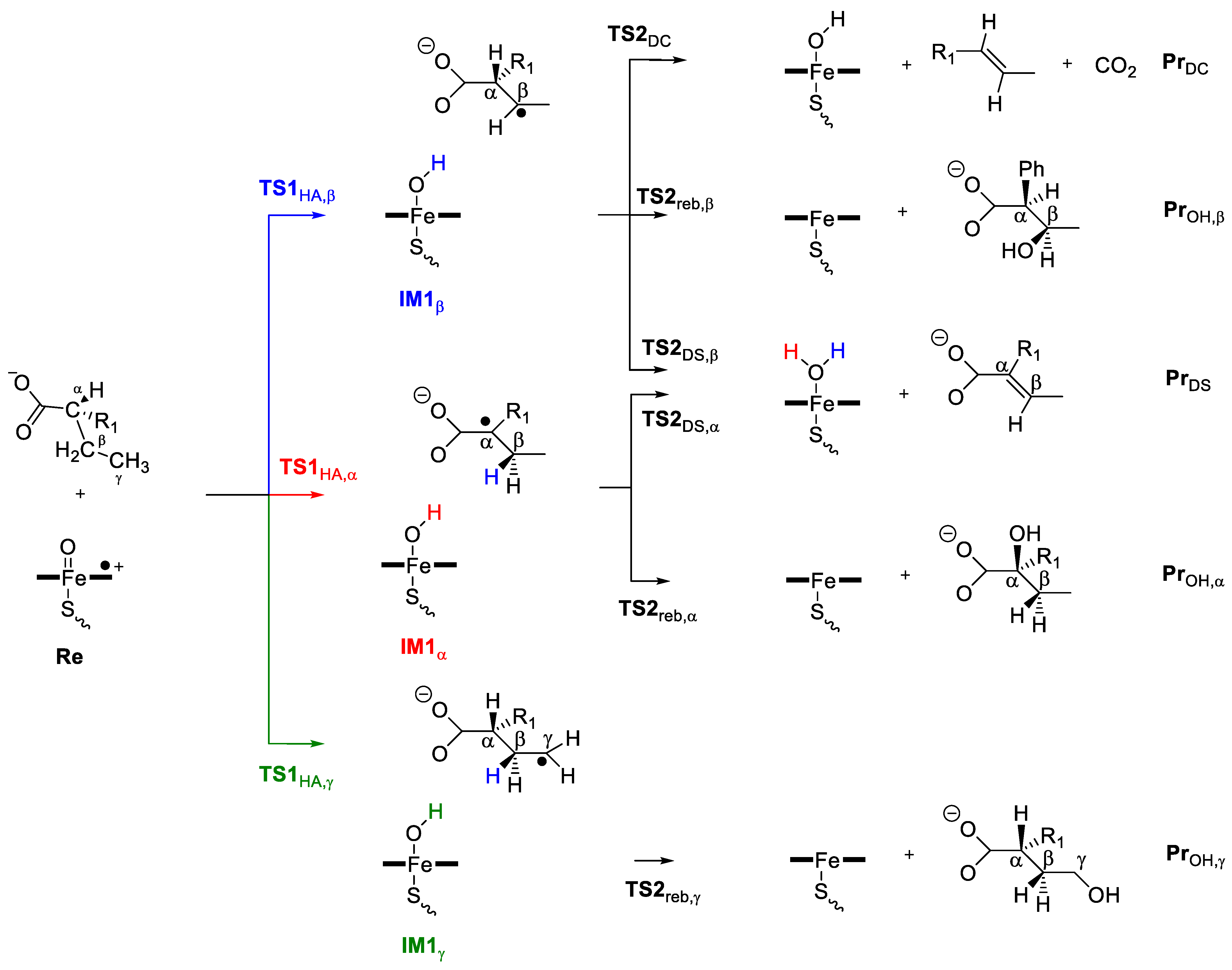 Ijms 22 07172 sch003