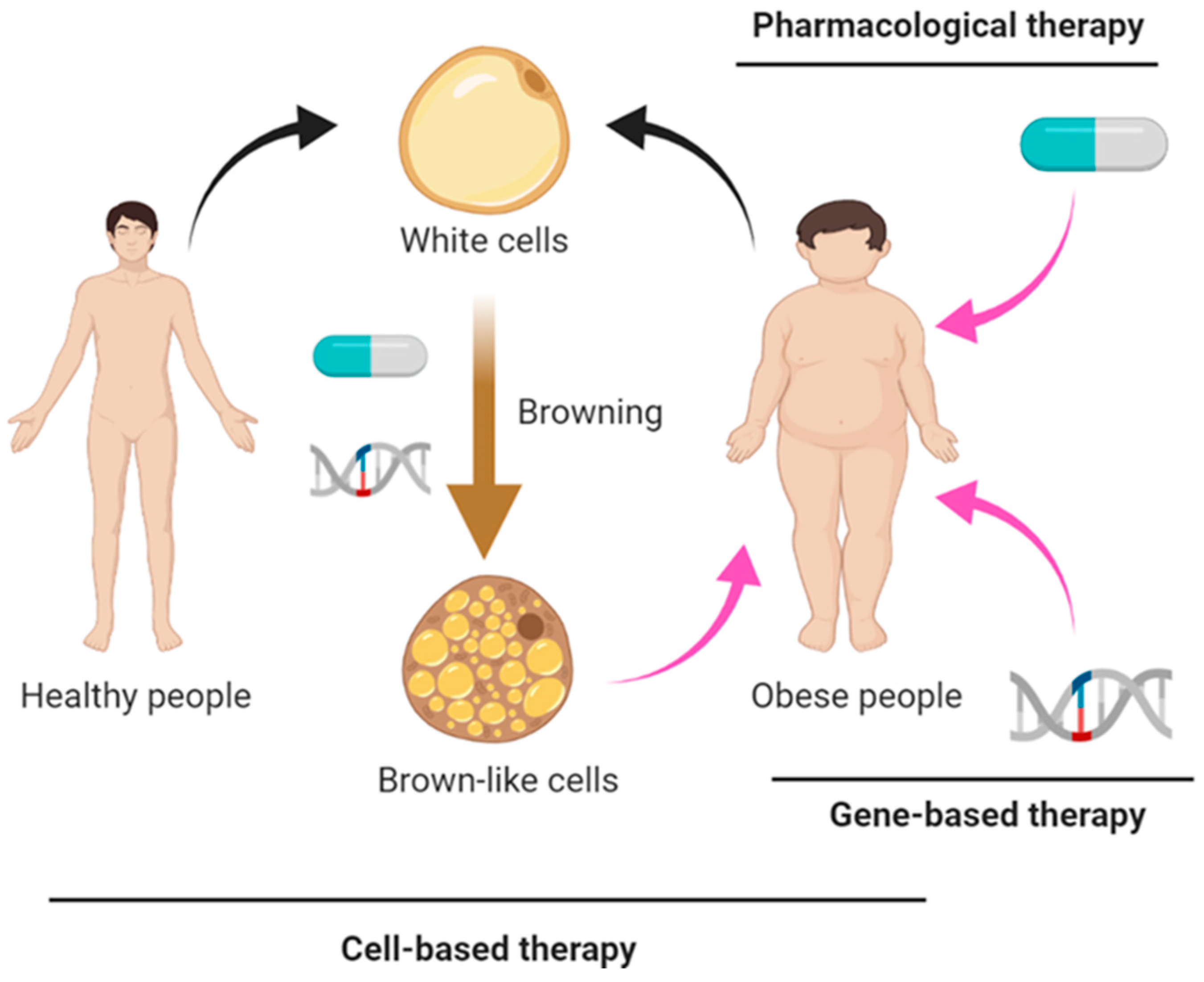 Ijms 22 07177 g001 Ijms 22 07177 g001