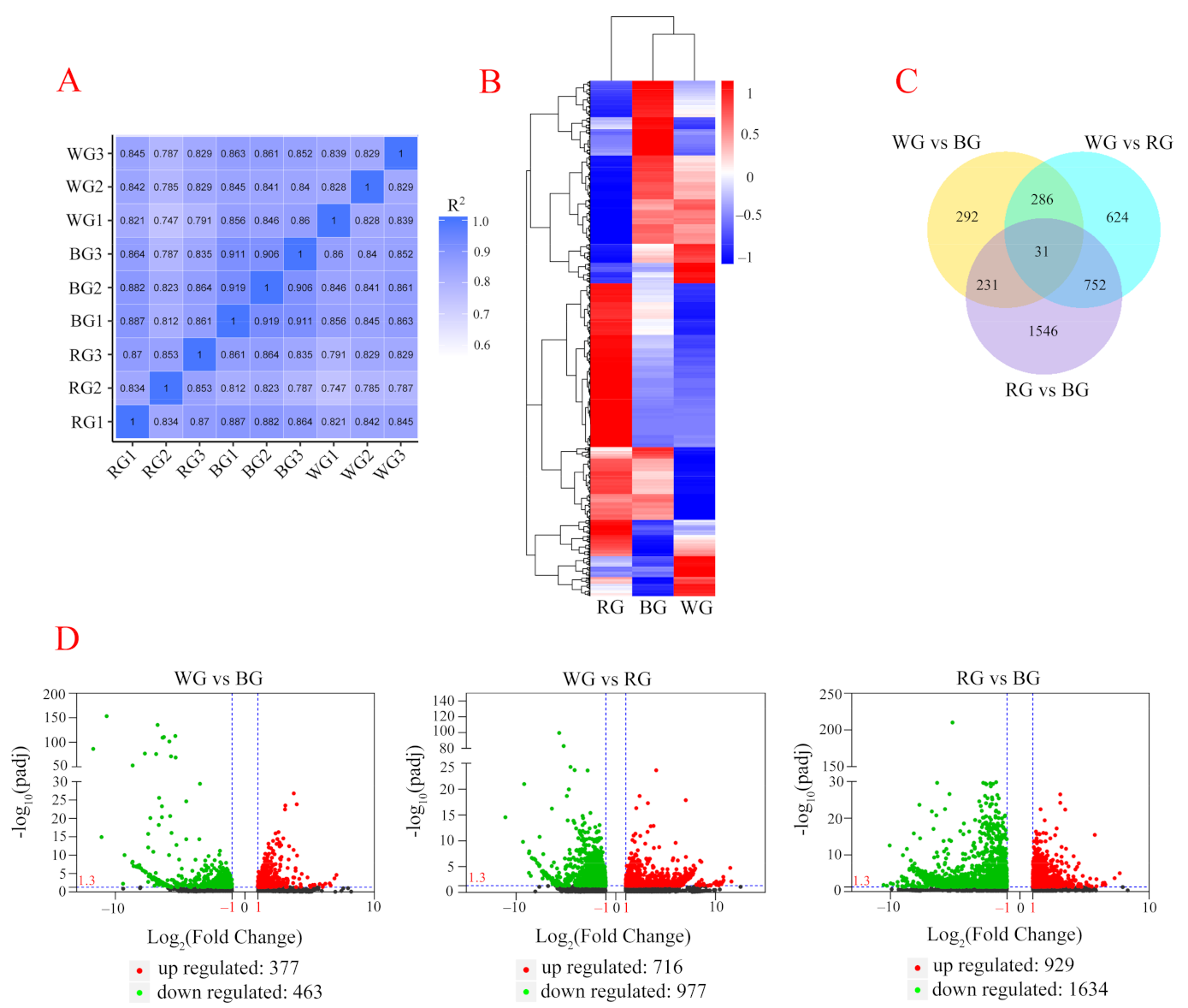 Ijms 22 07179 g004 550