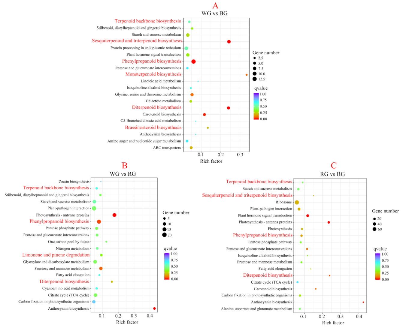 Ijms 22 07179 g005 550