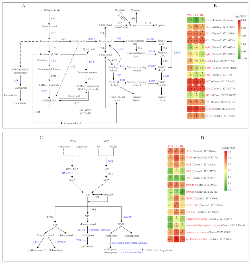 Ijms 22 07179 g006 550