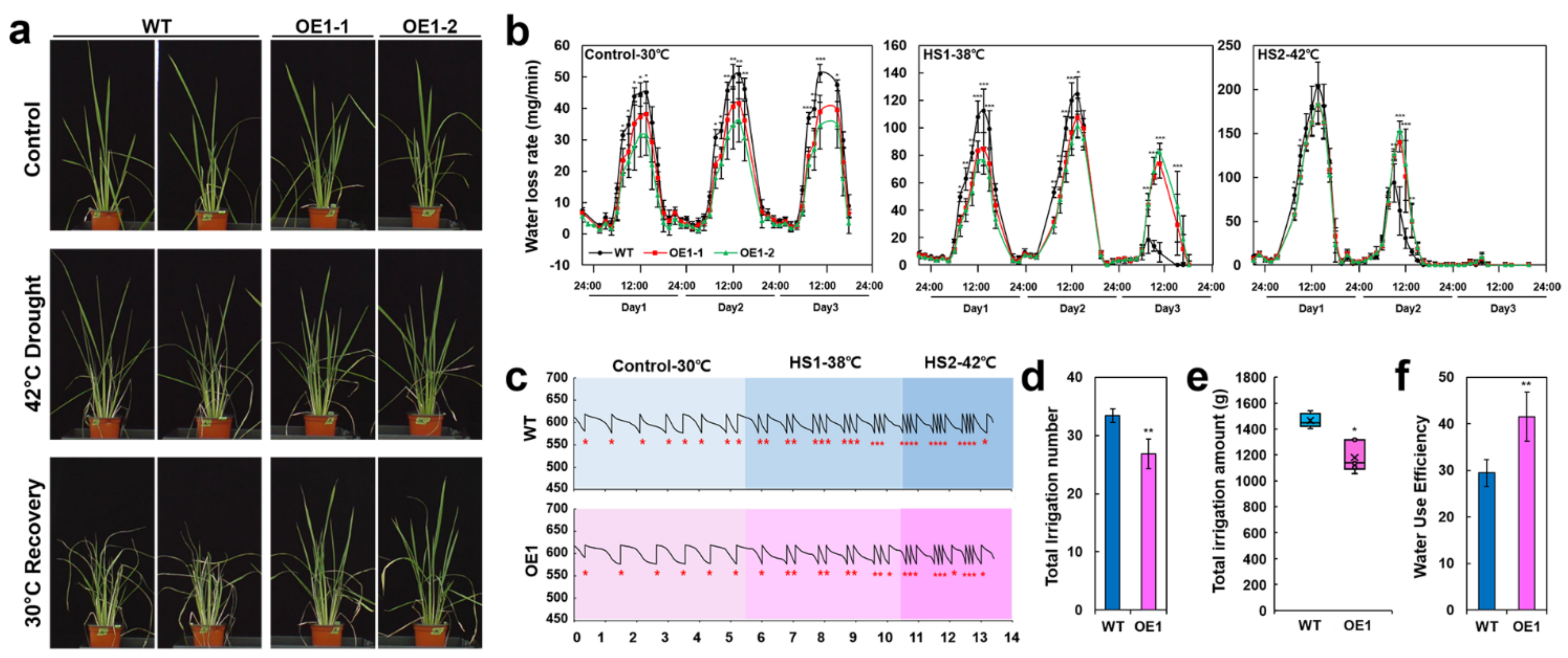 Ijms 22 07181 g004 550