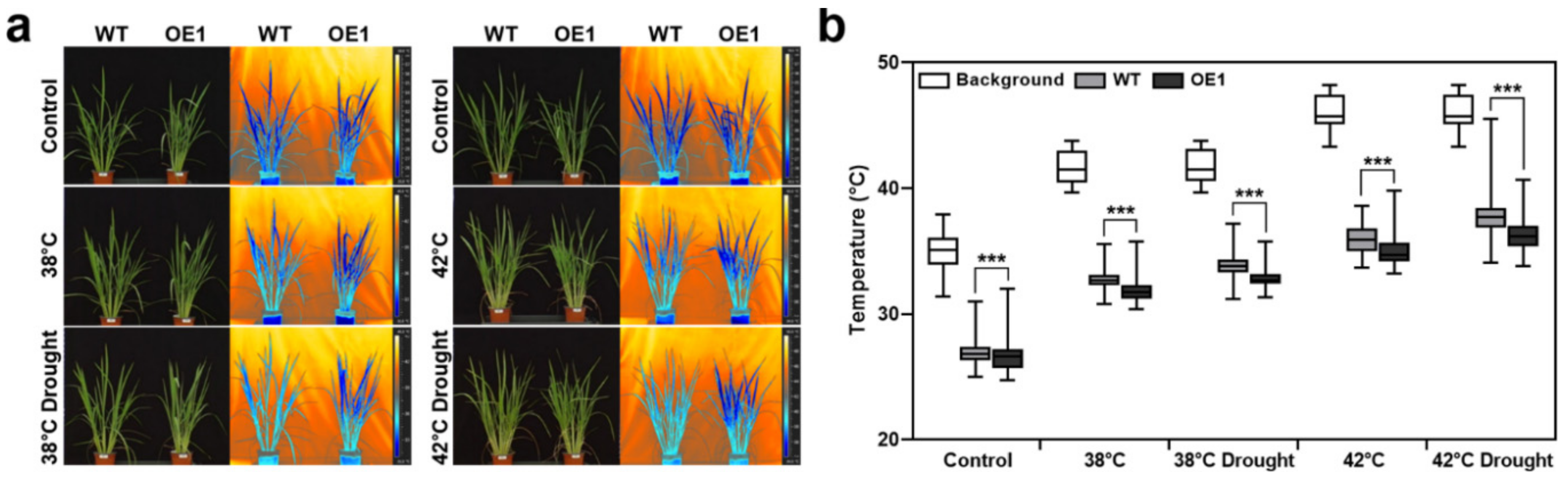 Ijms 22 07181 g005 550