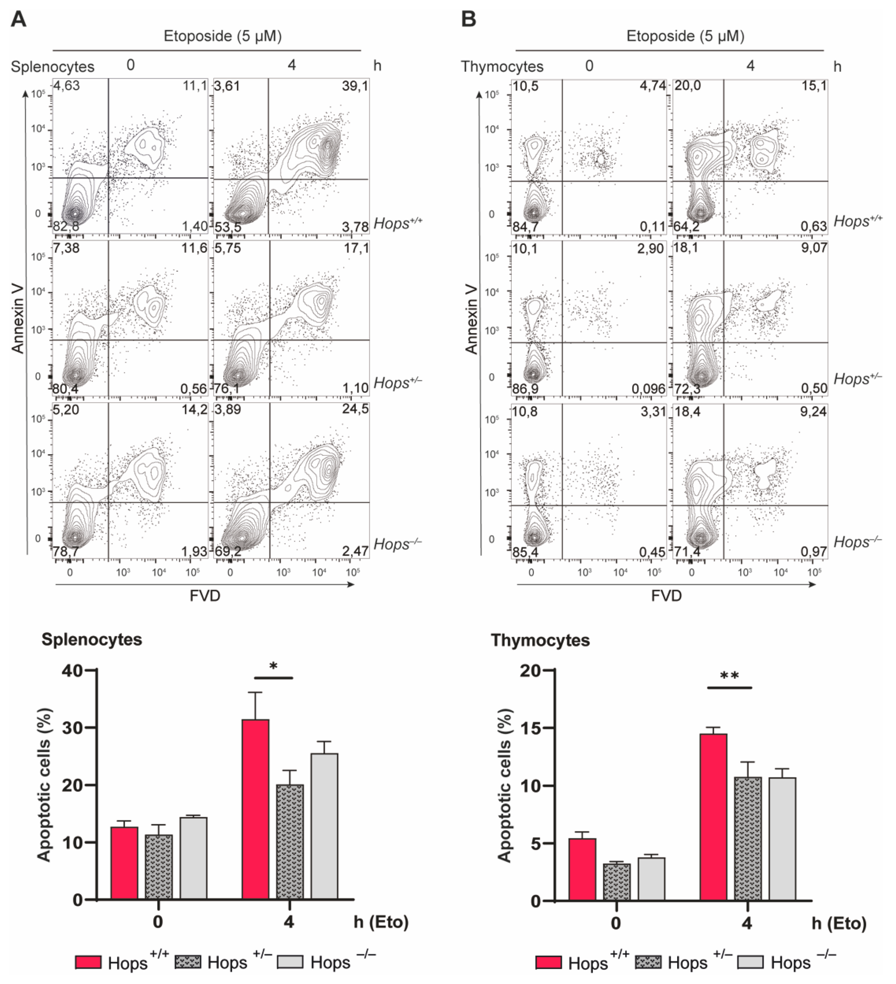 Ijms 22 07186 g003 Ijms 22 07186 g003