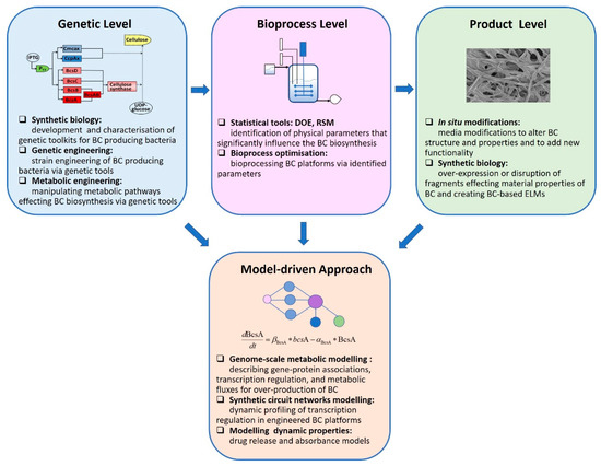 Results of multistep approach for developing domain-specific item