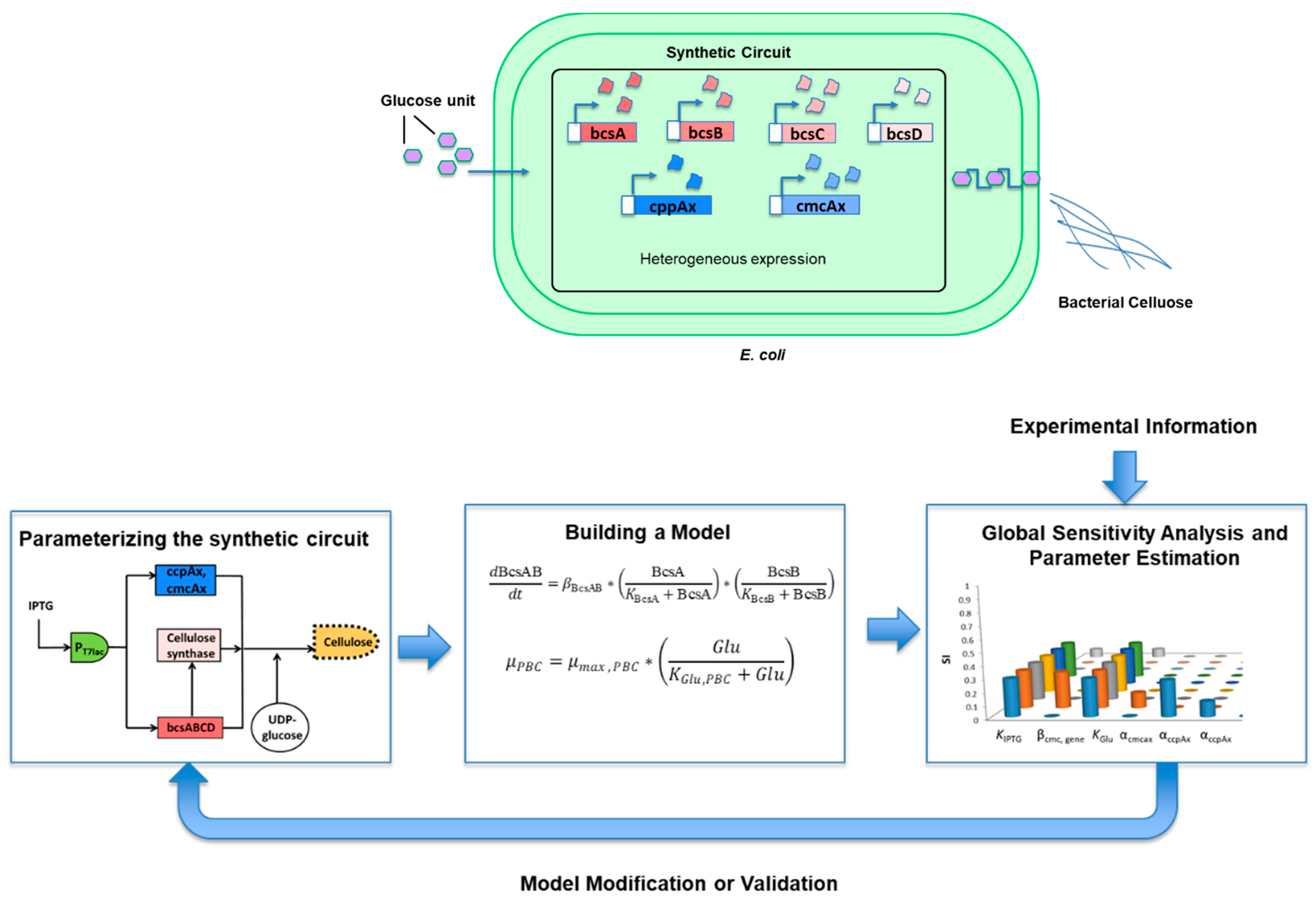 Ijms 22 07192 g002 550