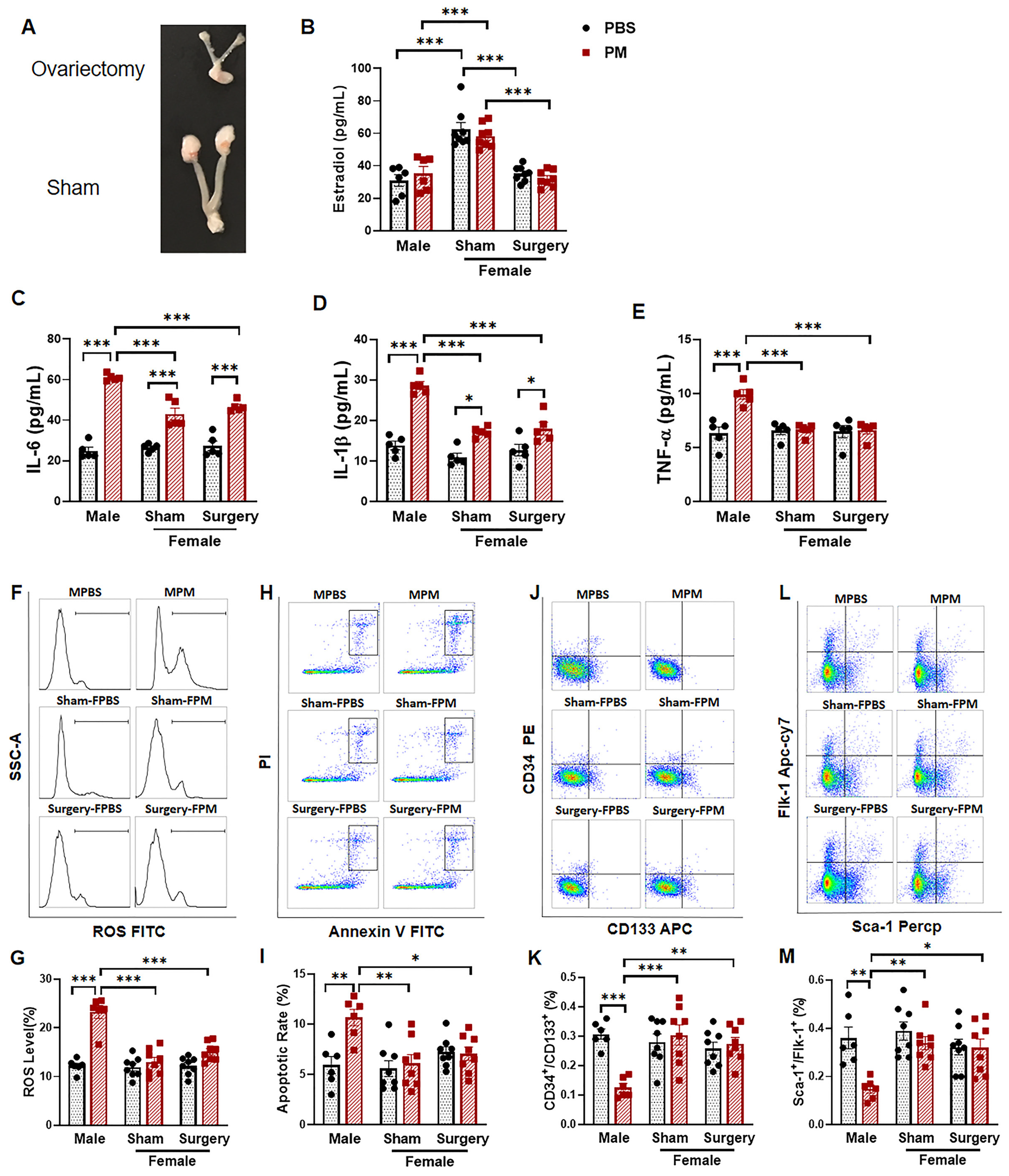 Ijms 22 07200 g004 550