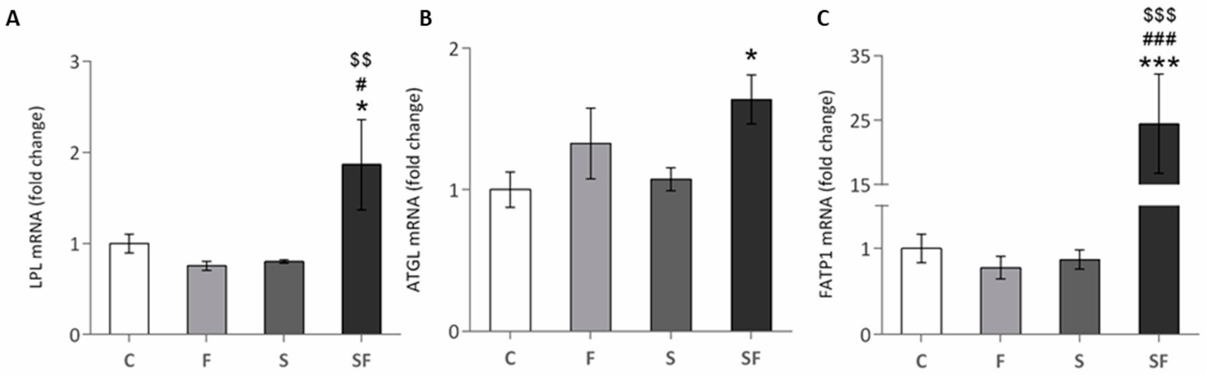 Ijms 22 07206 g001 550