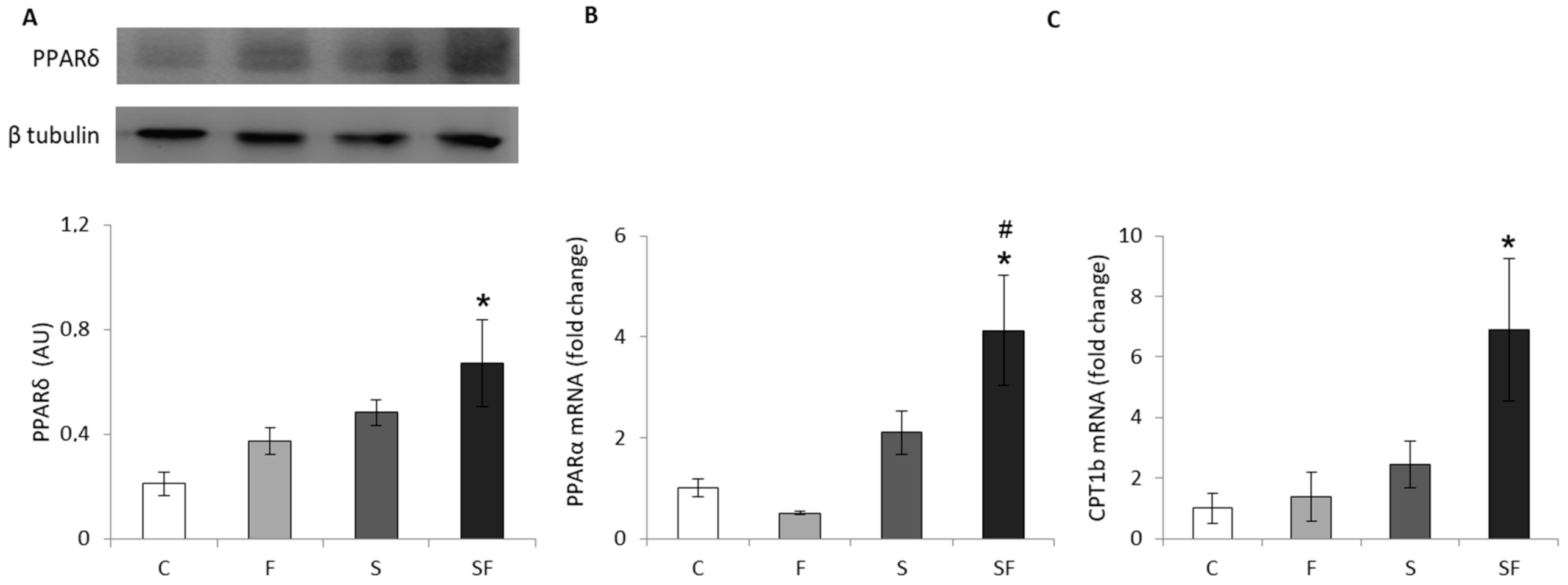 Ijms 22 07206 g002 550