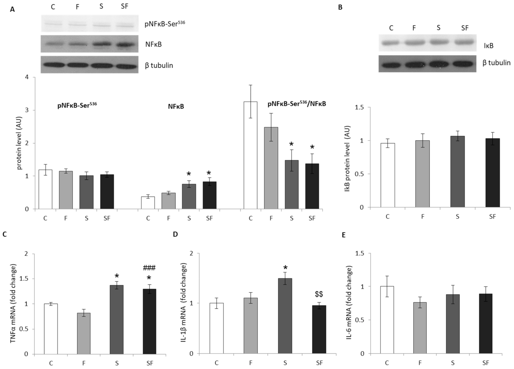 Ijms 22 07206 g003 550