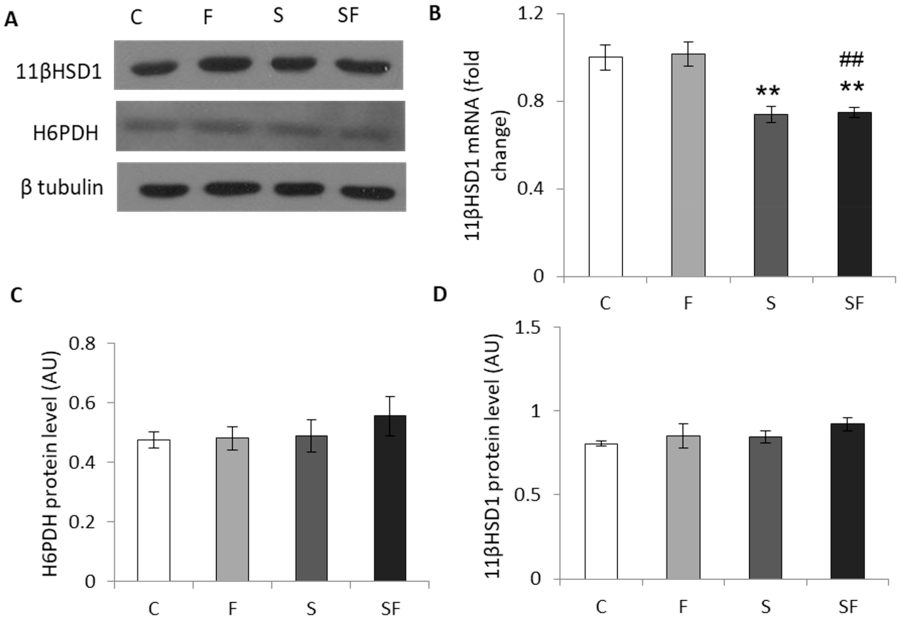 Ijms 22 07206 g004 550