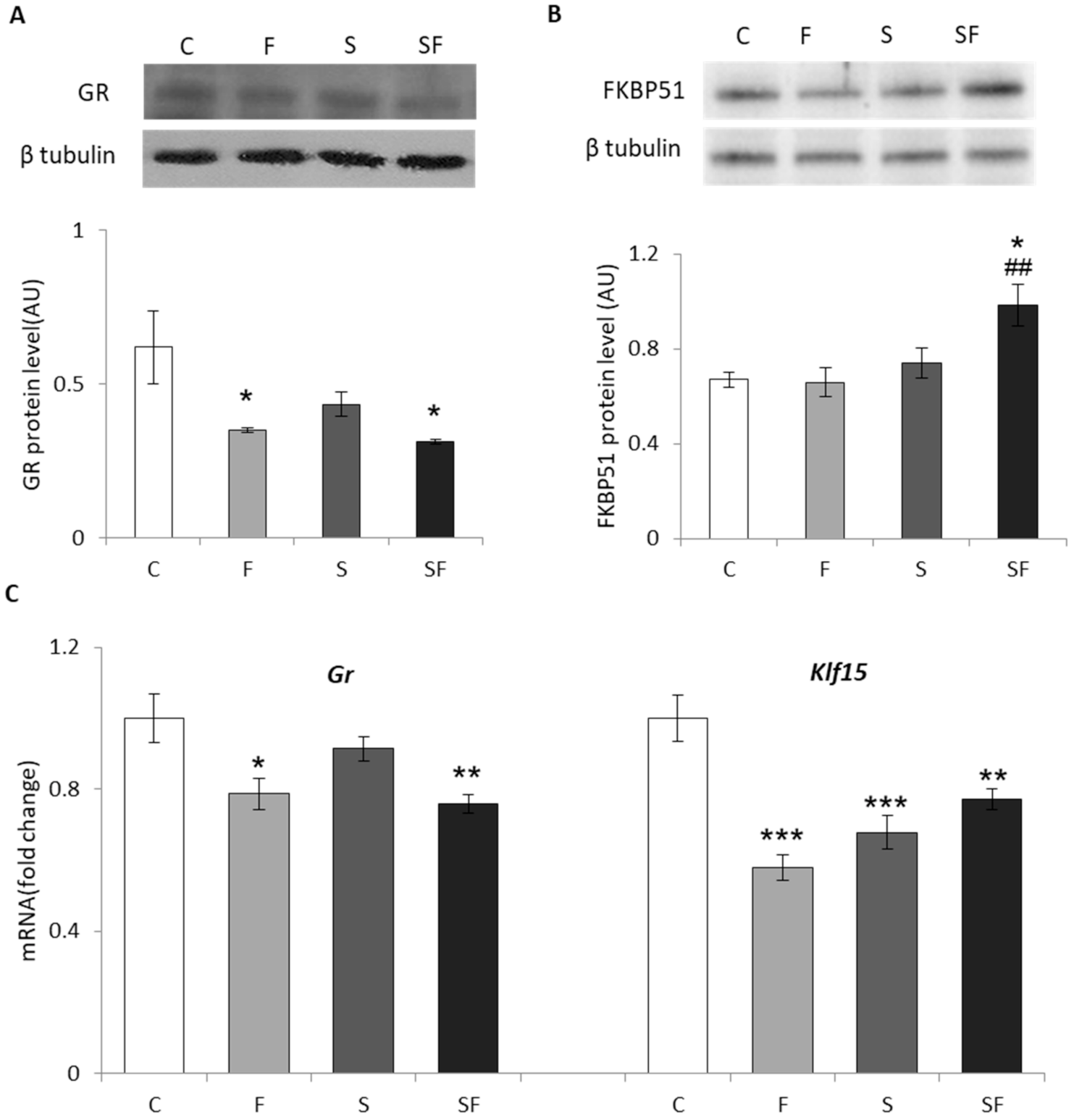 Ijms 22 07206 g005 550