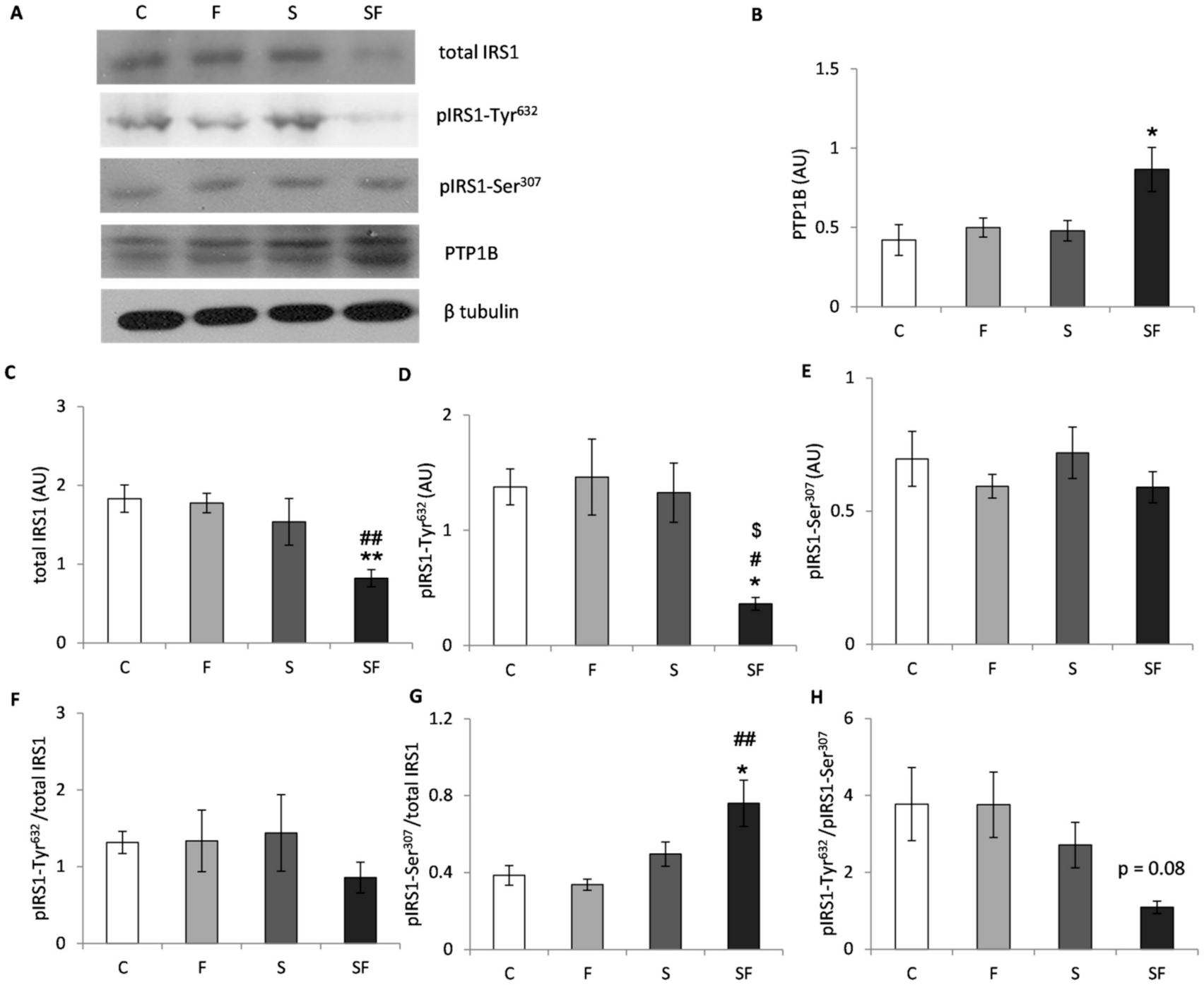 Ijms 22 07206 g006 550