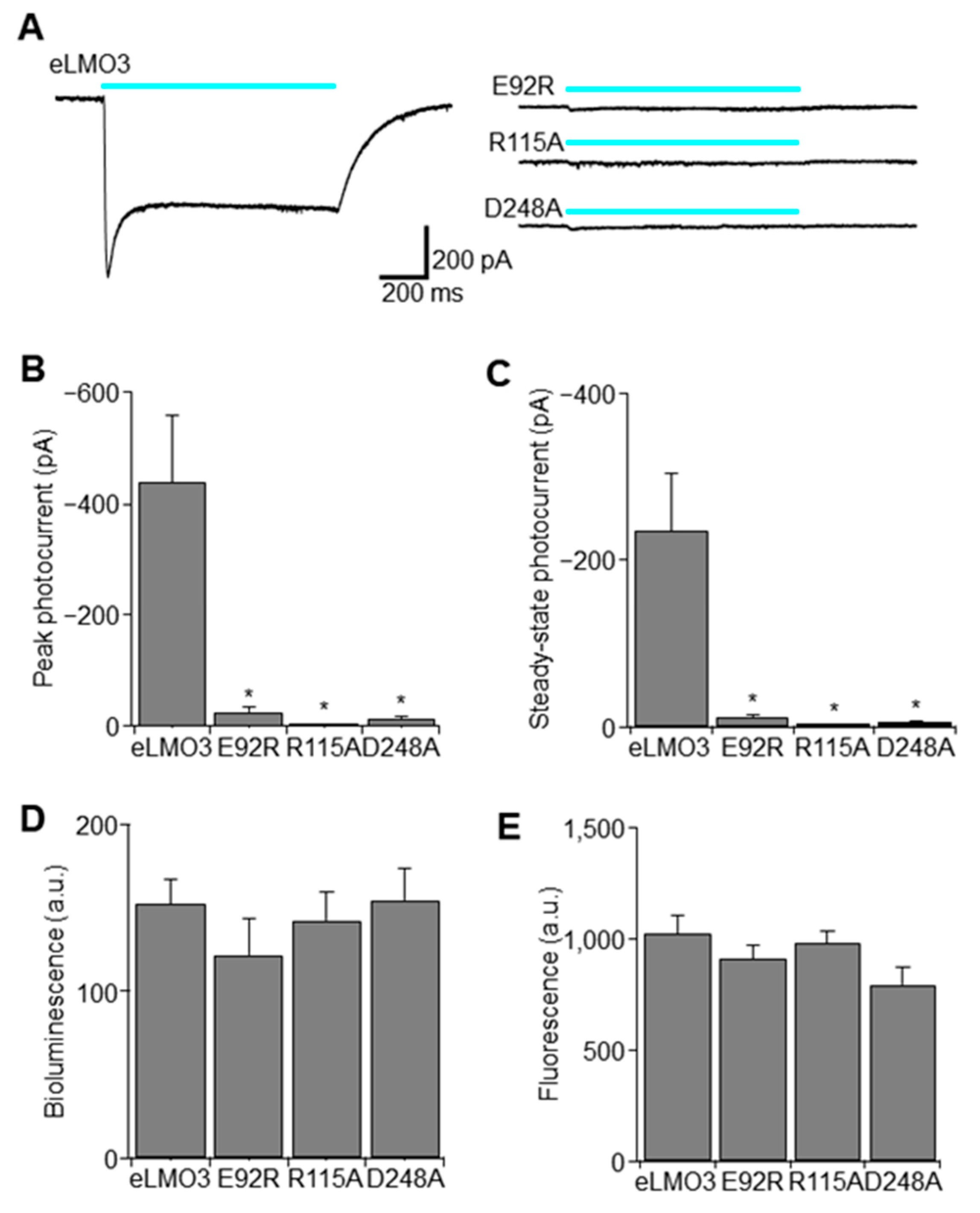 Ijms 22 07217 g002 550