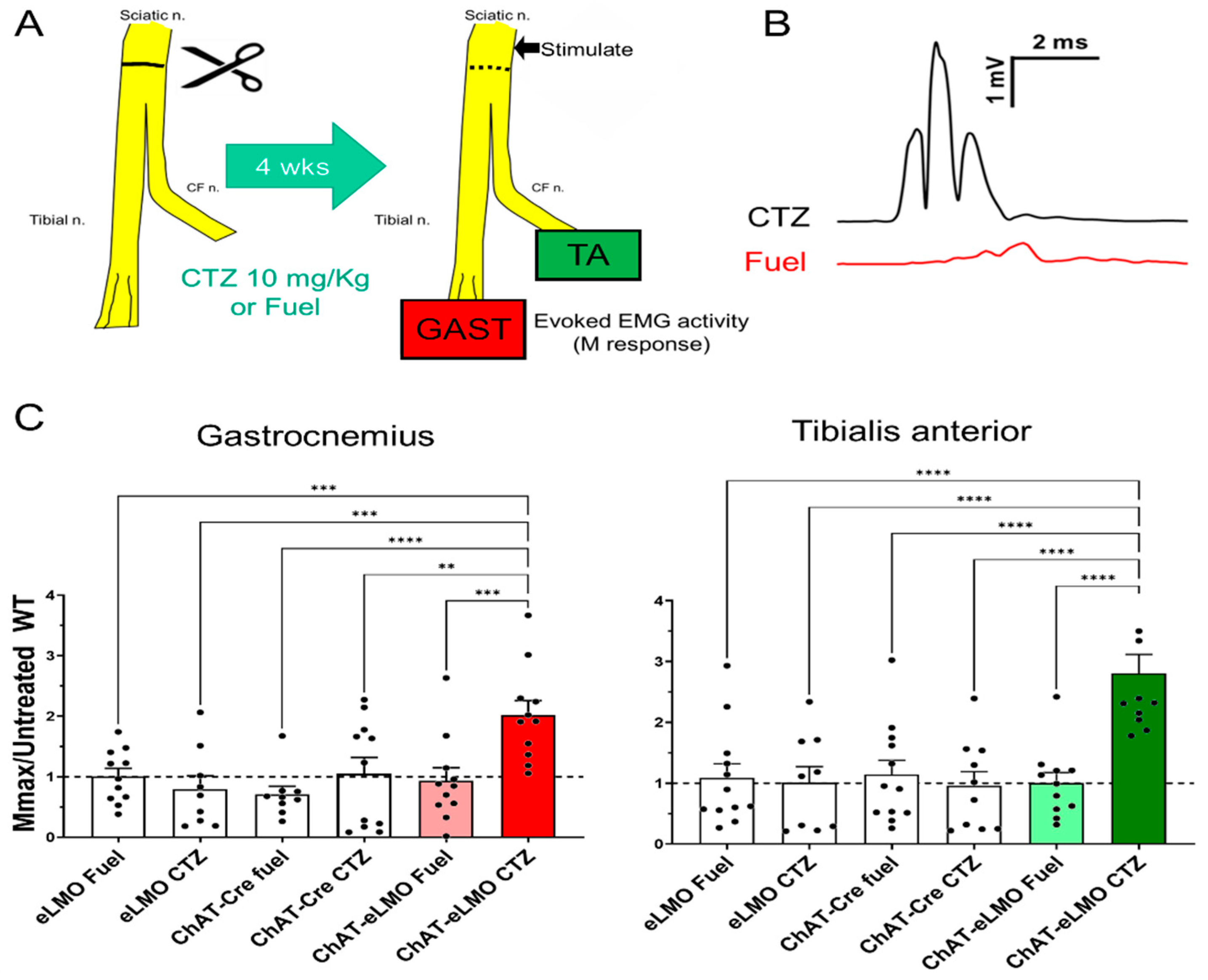 Ijms 22 07217 g005 550