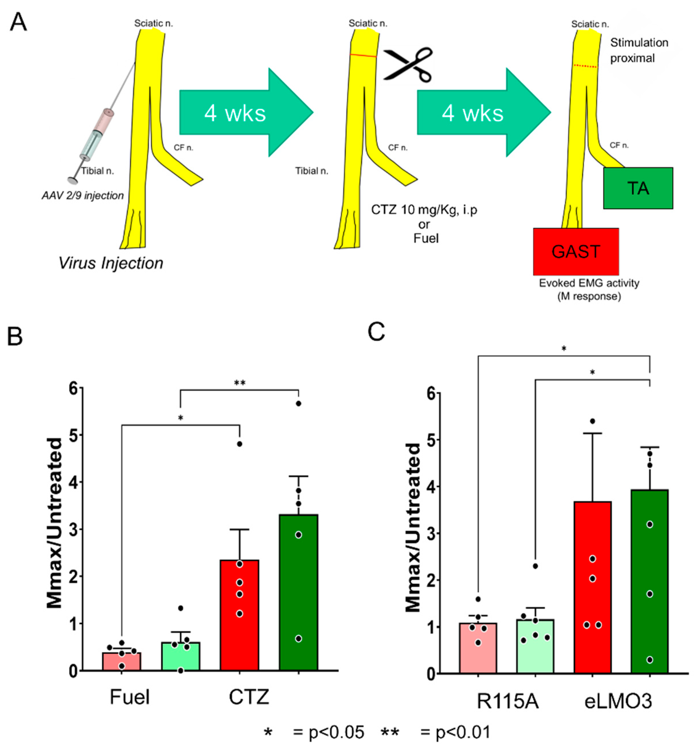Ijms 22 07217 g006 550