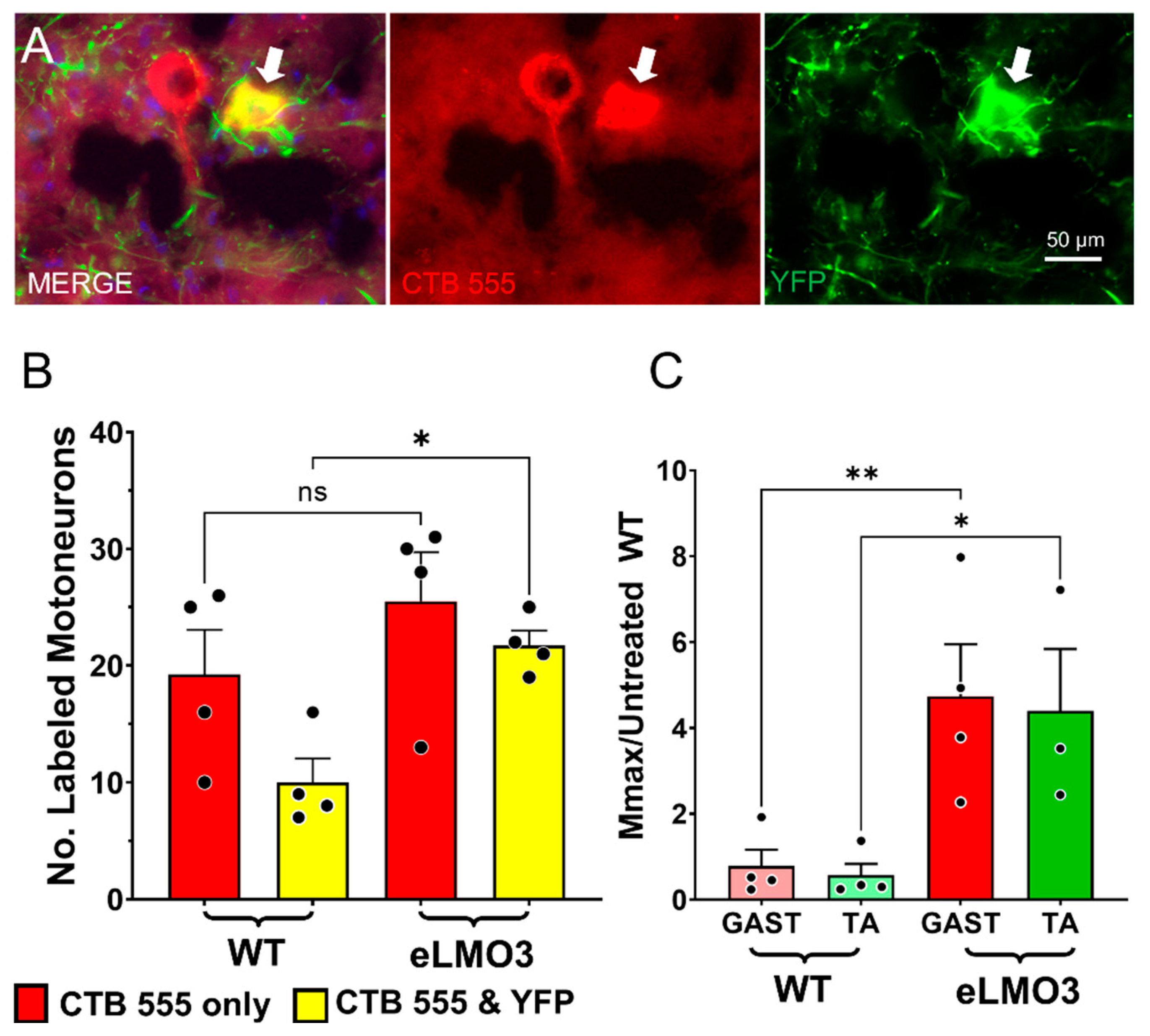 Ijms 22 07217 g007 550