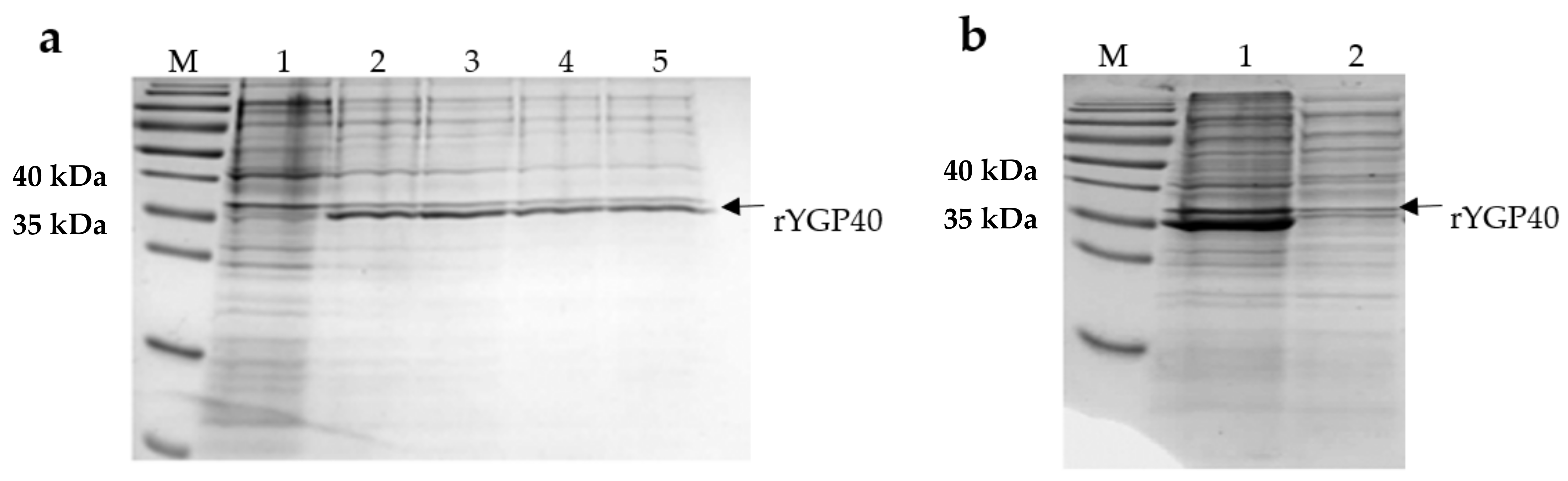 Ijms 22 07223 g001 550