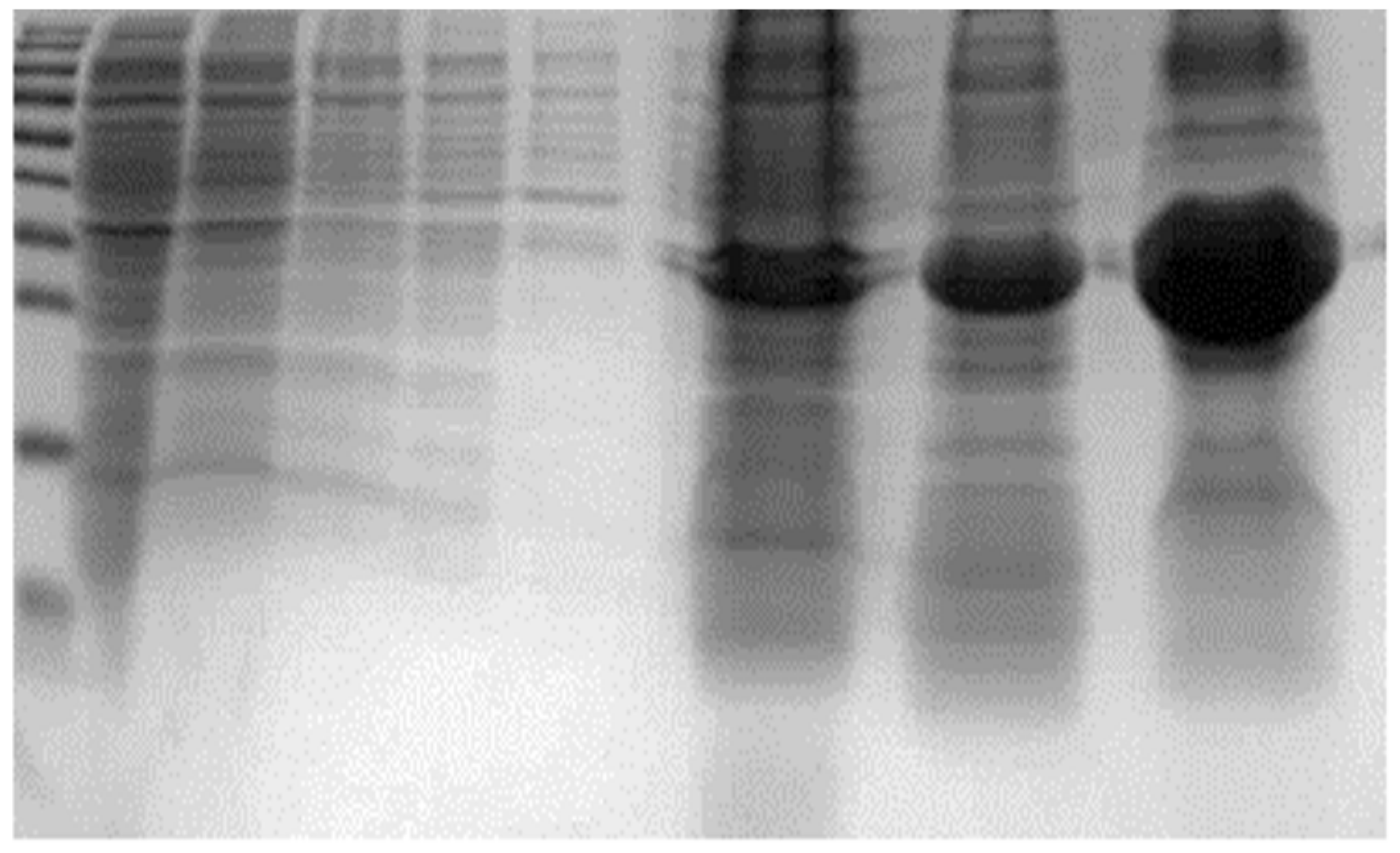 Ijms 22 07223 g002 550