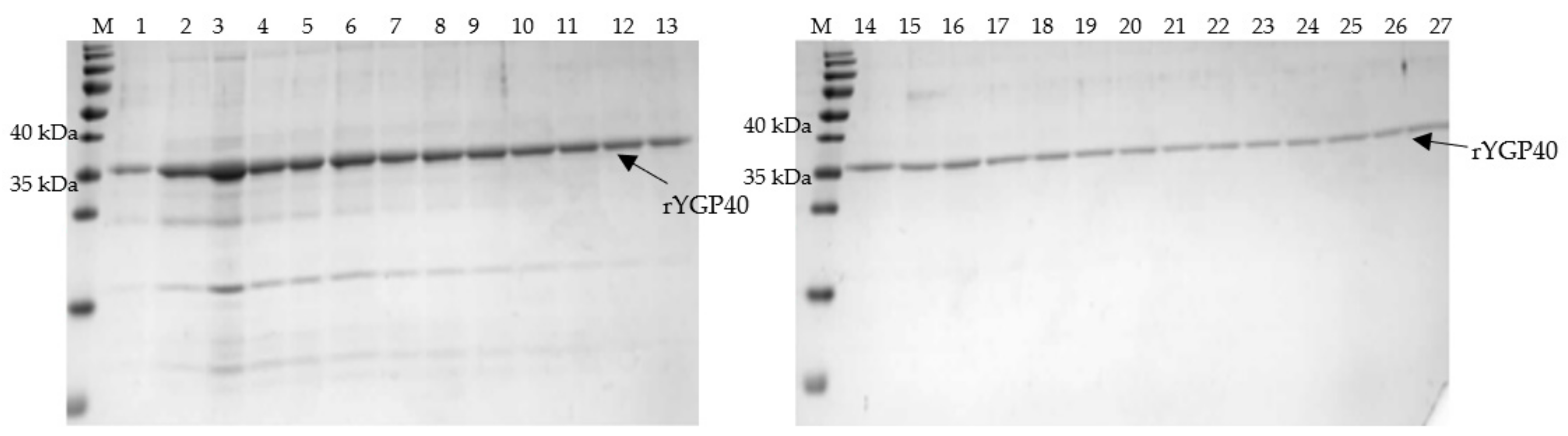 Ijms 22 07223 g003 550