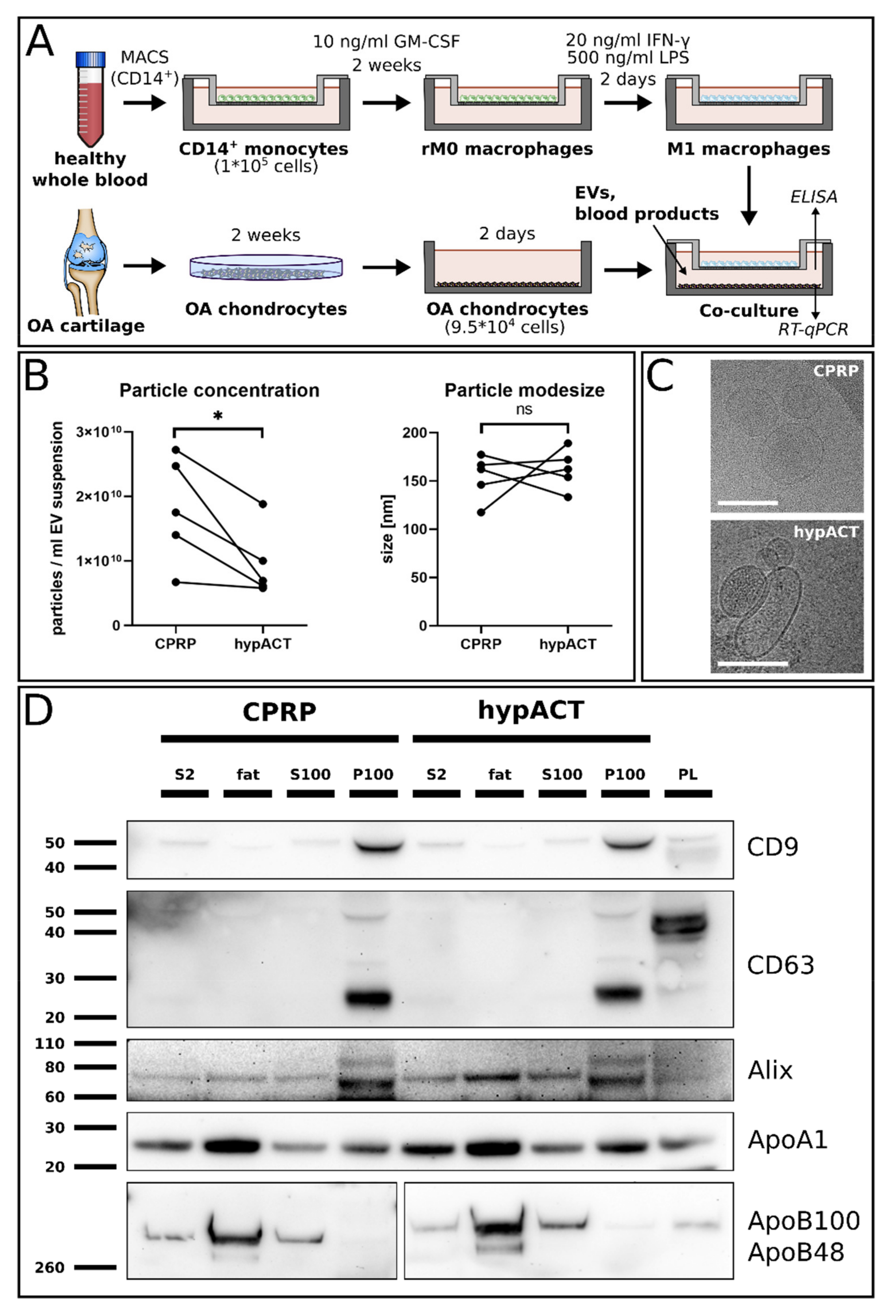Ijms 22 07224 g001 550