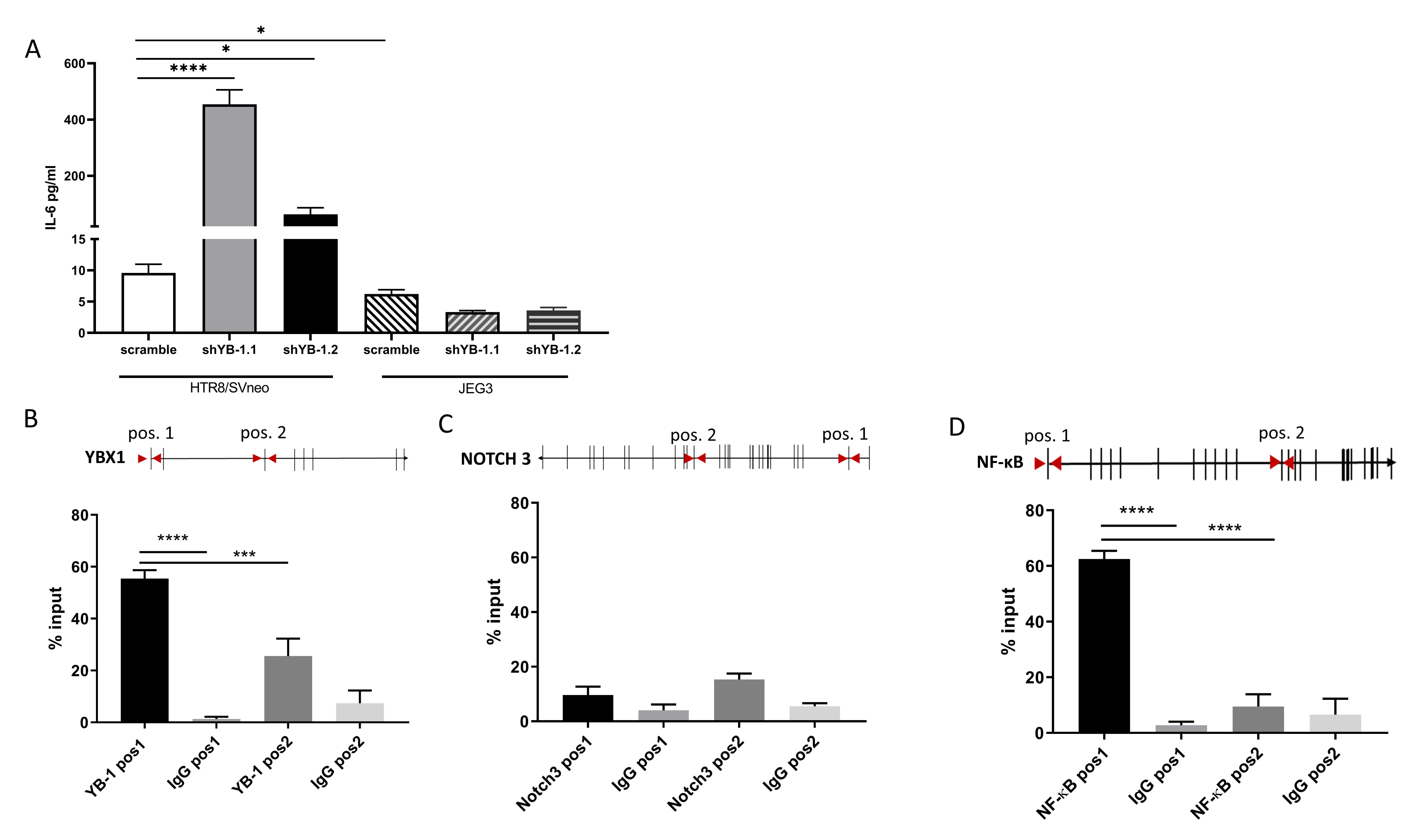 Ijms 22 07226 g006 Ijms 22 07226 g006