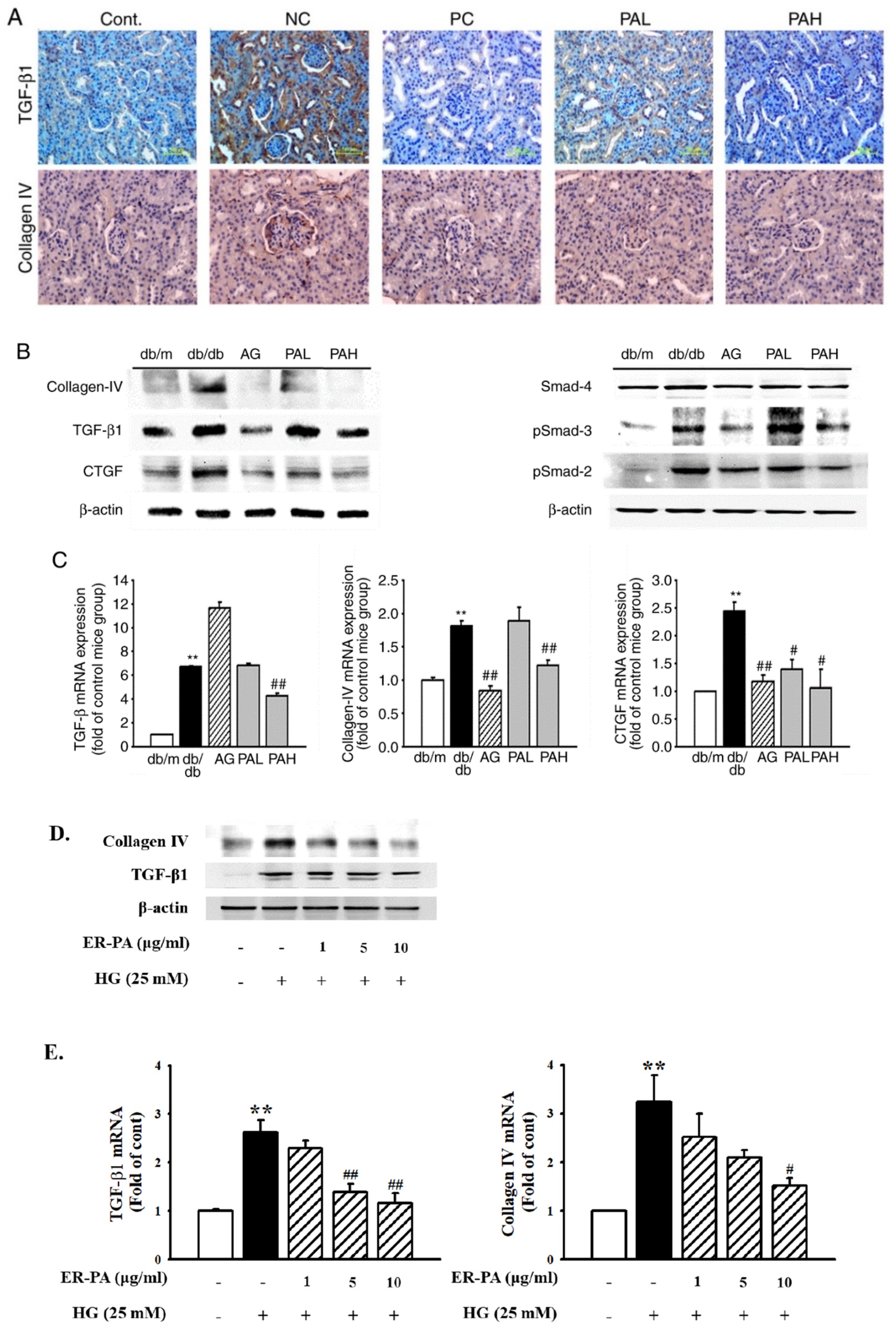 Ijms 22 07230 g006 550