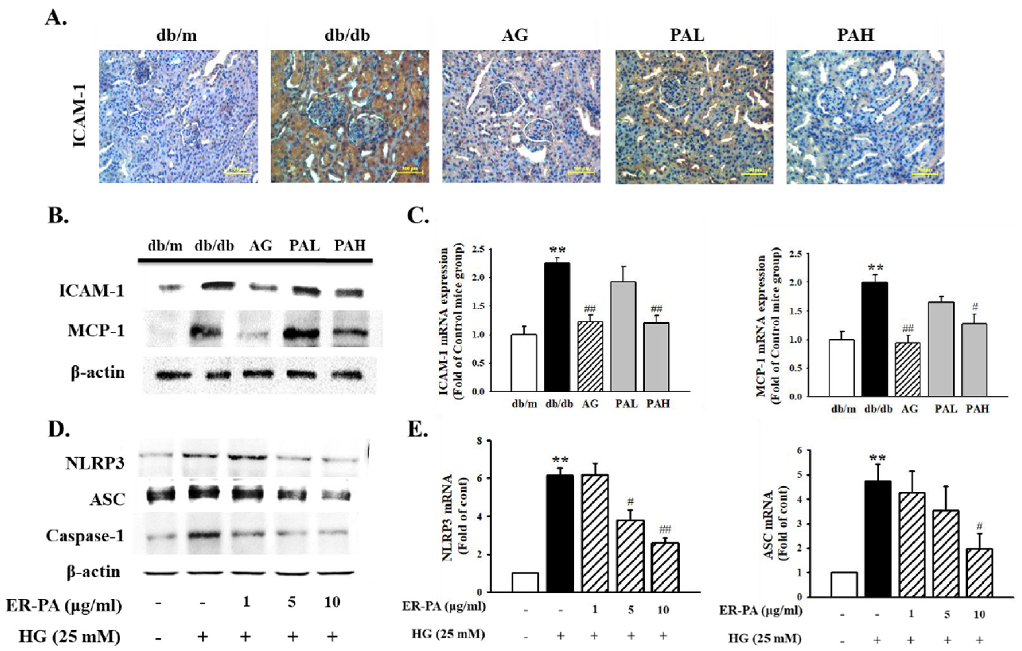Ijms 22 07230 g007 550