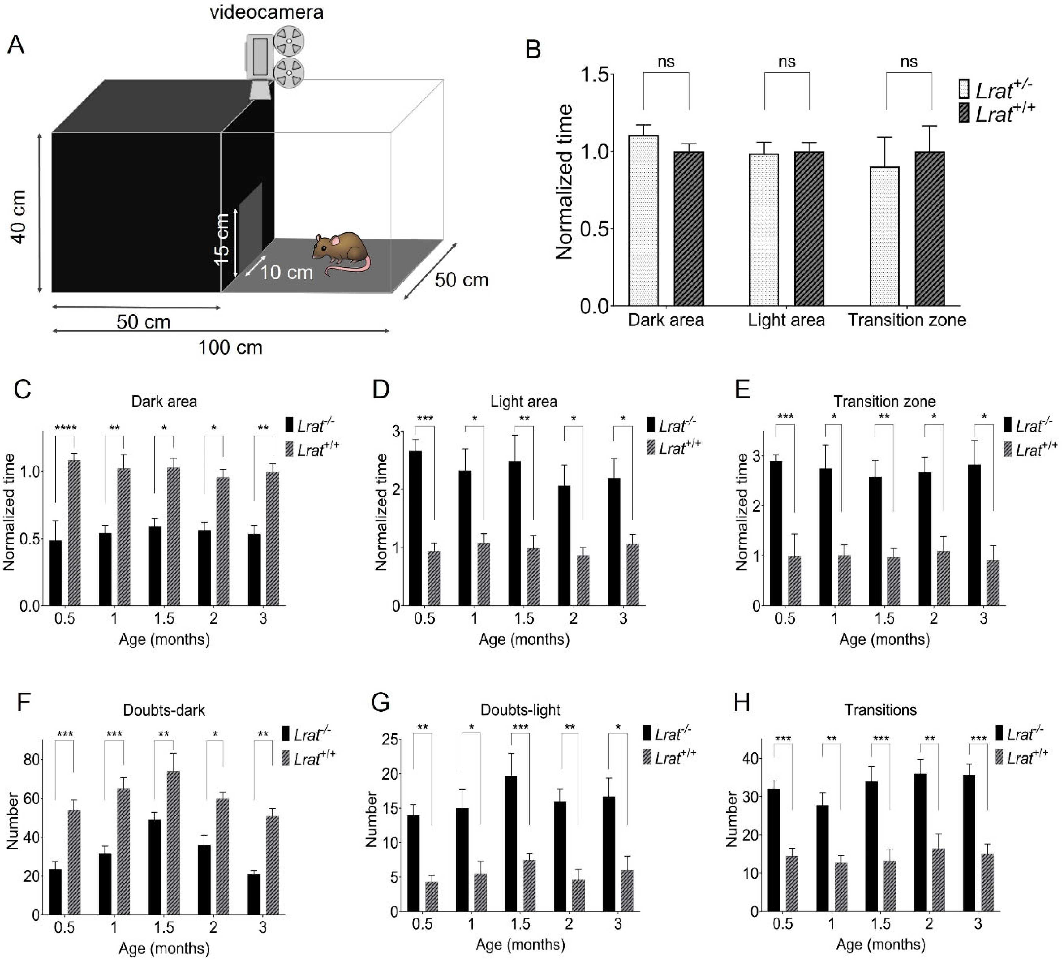 Ijms 22 07234 g009 Ijms 22 07234 g009
