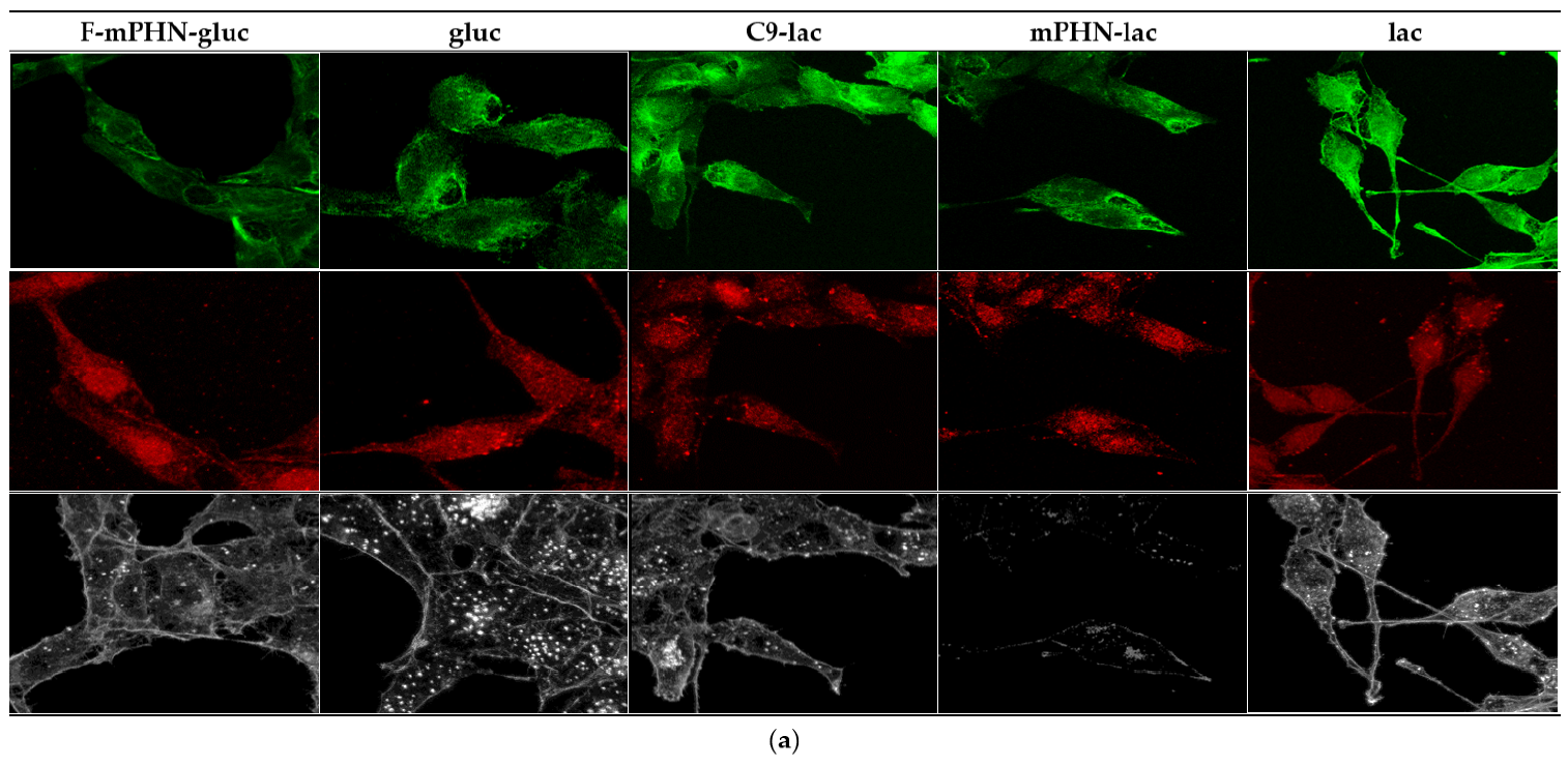 Ijms 22 07238 g002a 550