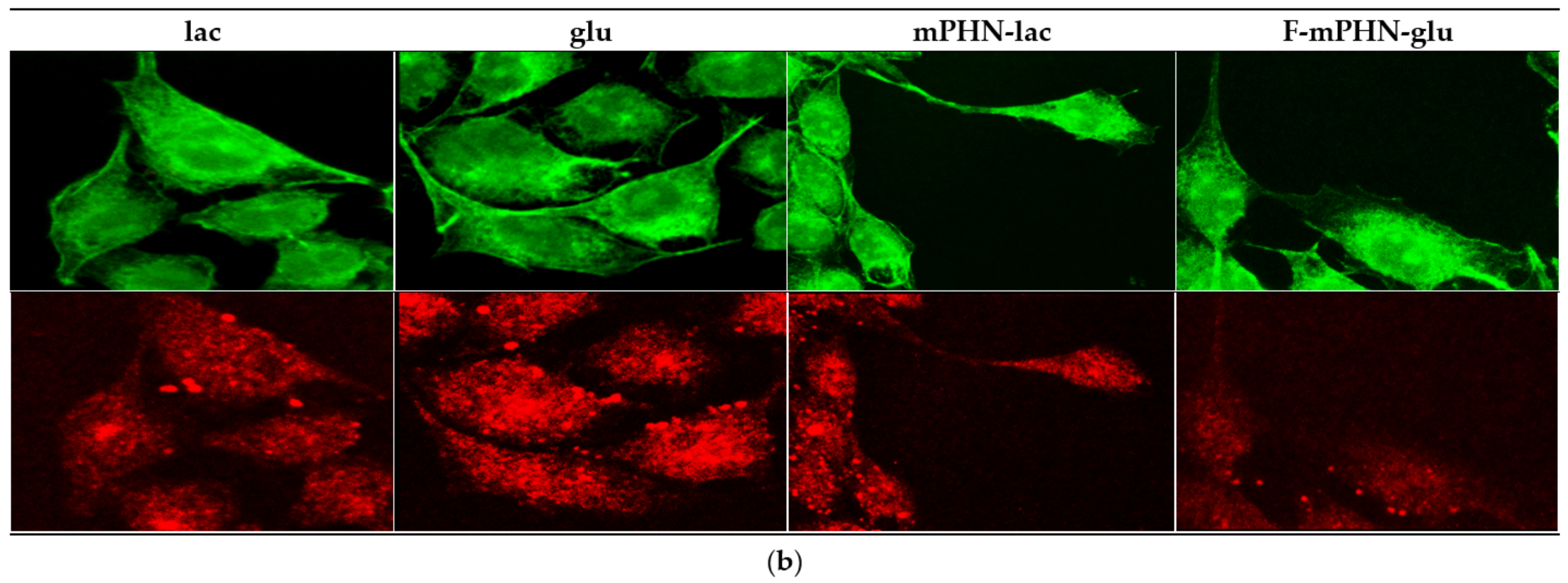 Ijms 22 07238 g002b 550