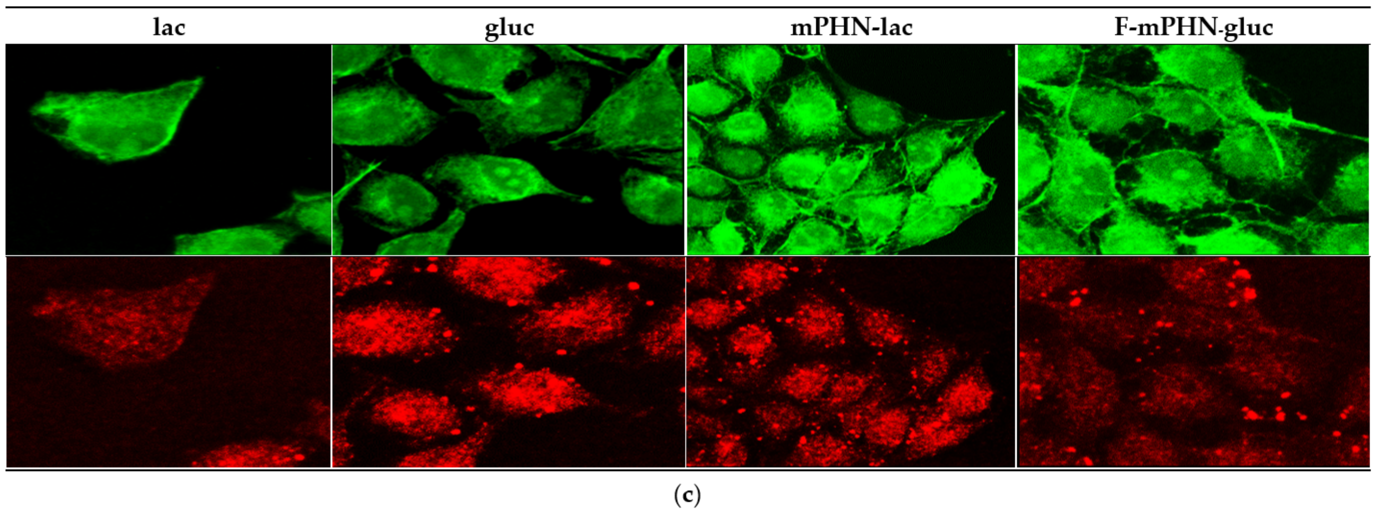 Ijms 22 07238 g002c 550