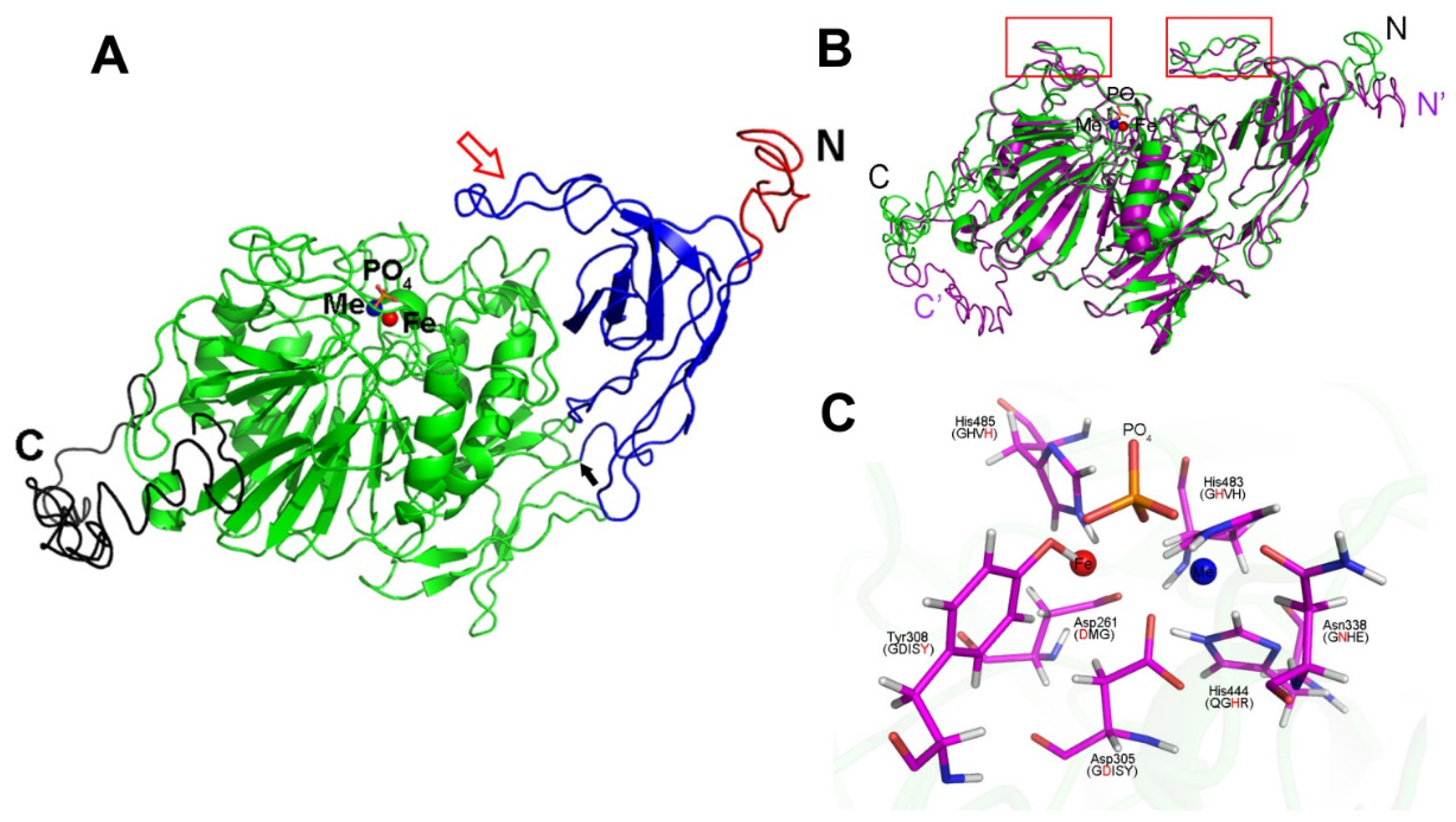 Ijms 22 07243 g005 Ijms 22 07243 g005