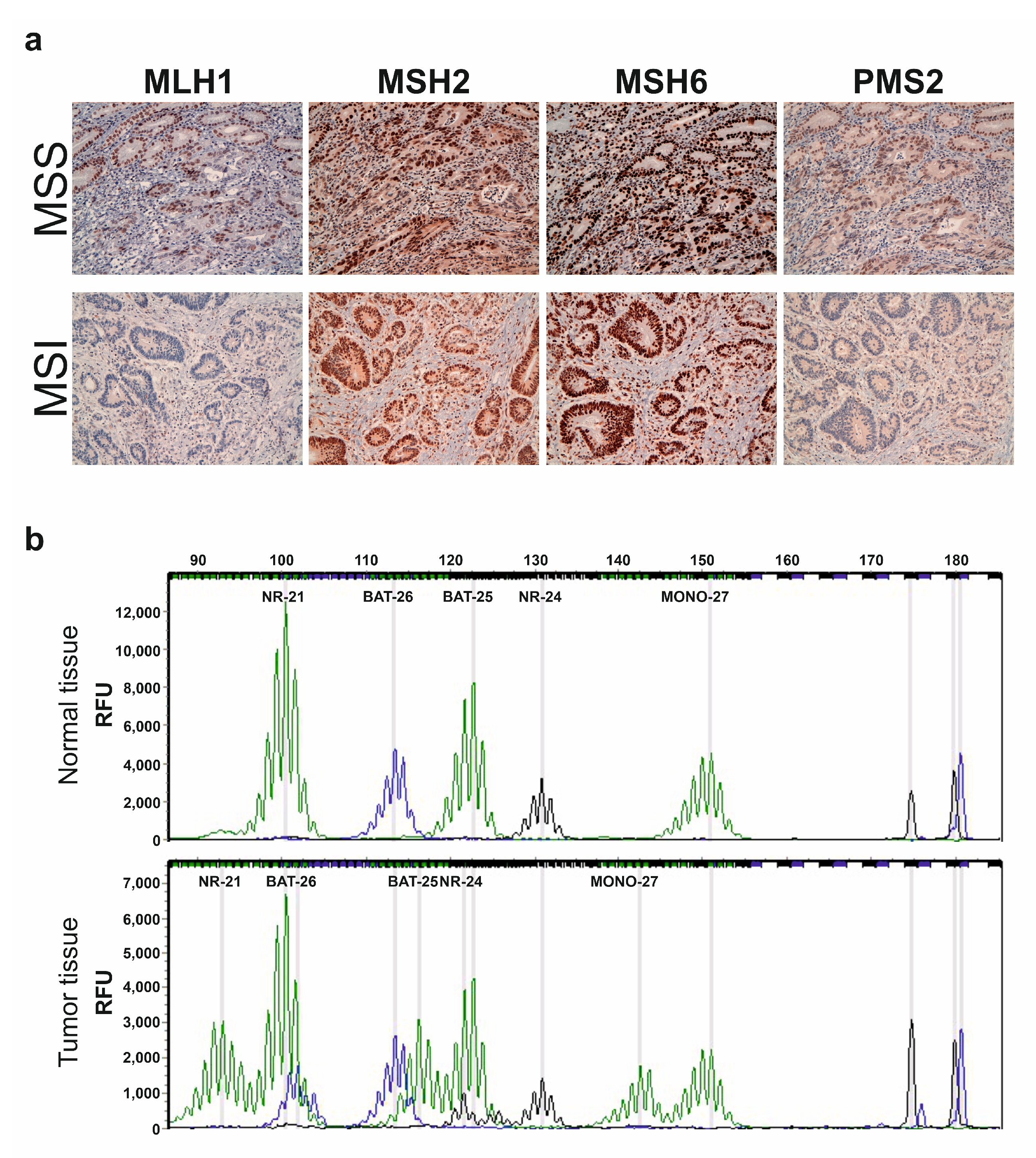 Ijms 22 07244 g001 550