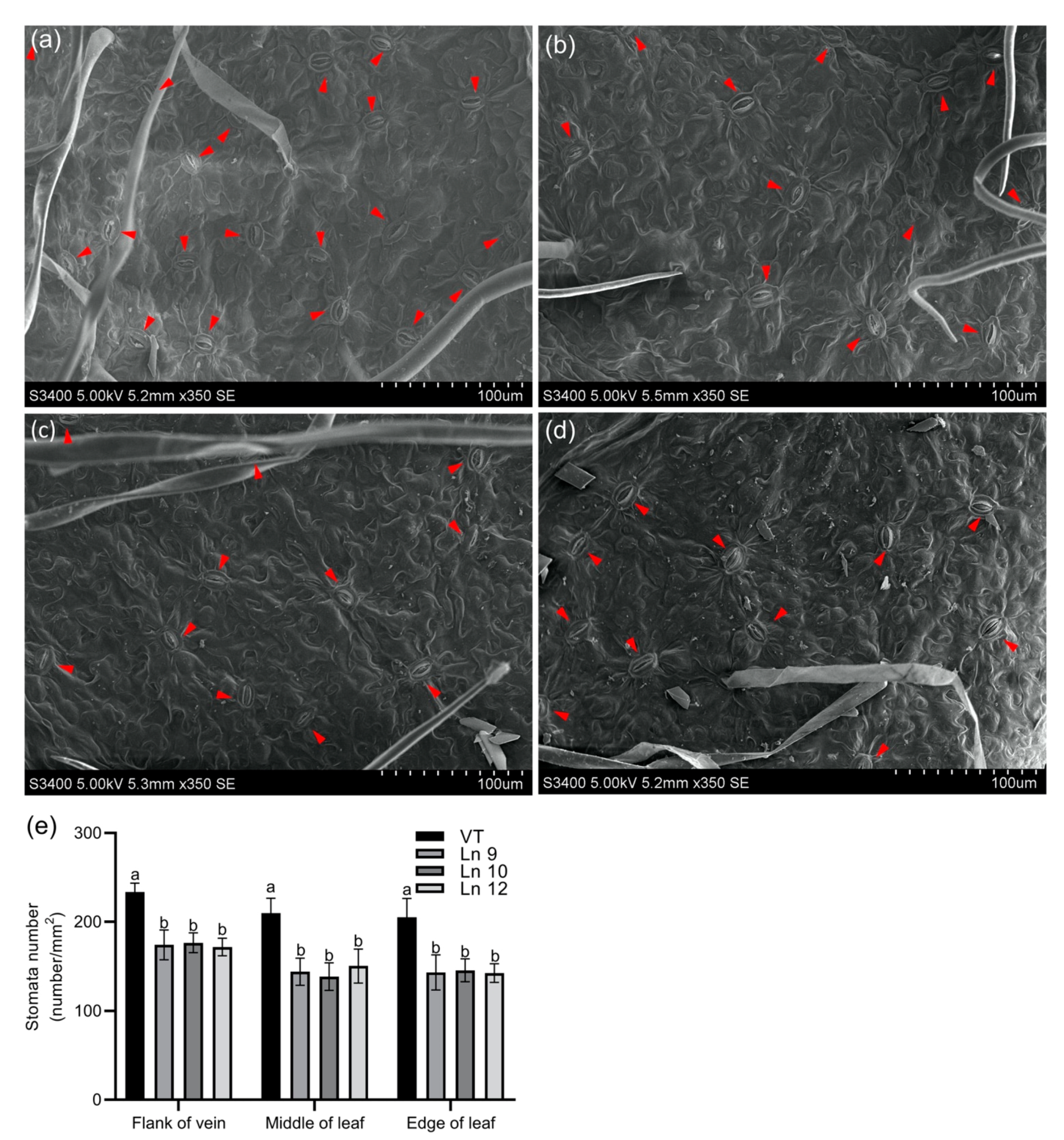 Ijms 22 07245 g002 550
