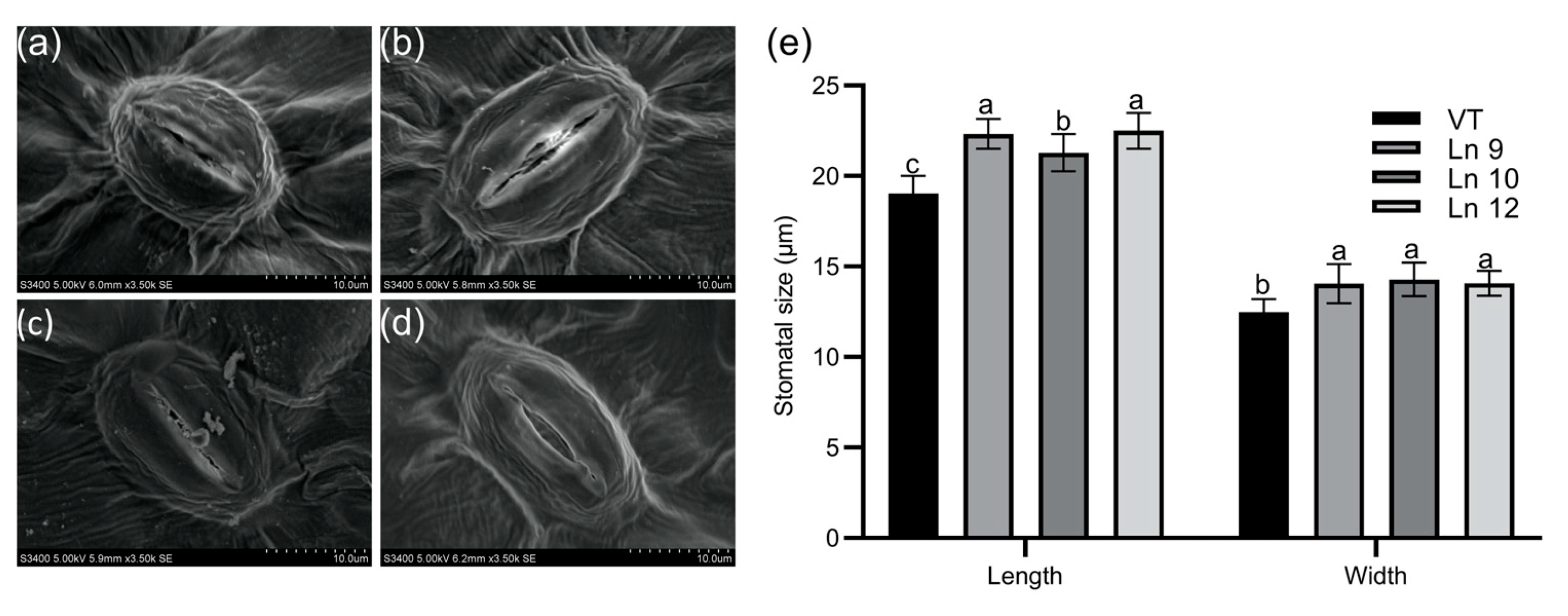 Ijms 22 07245 g003 550