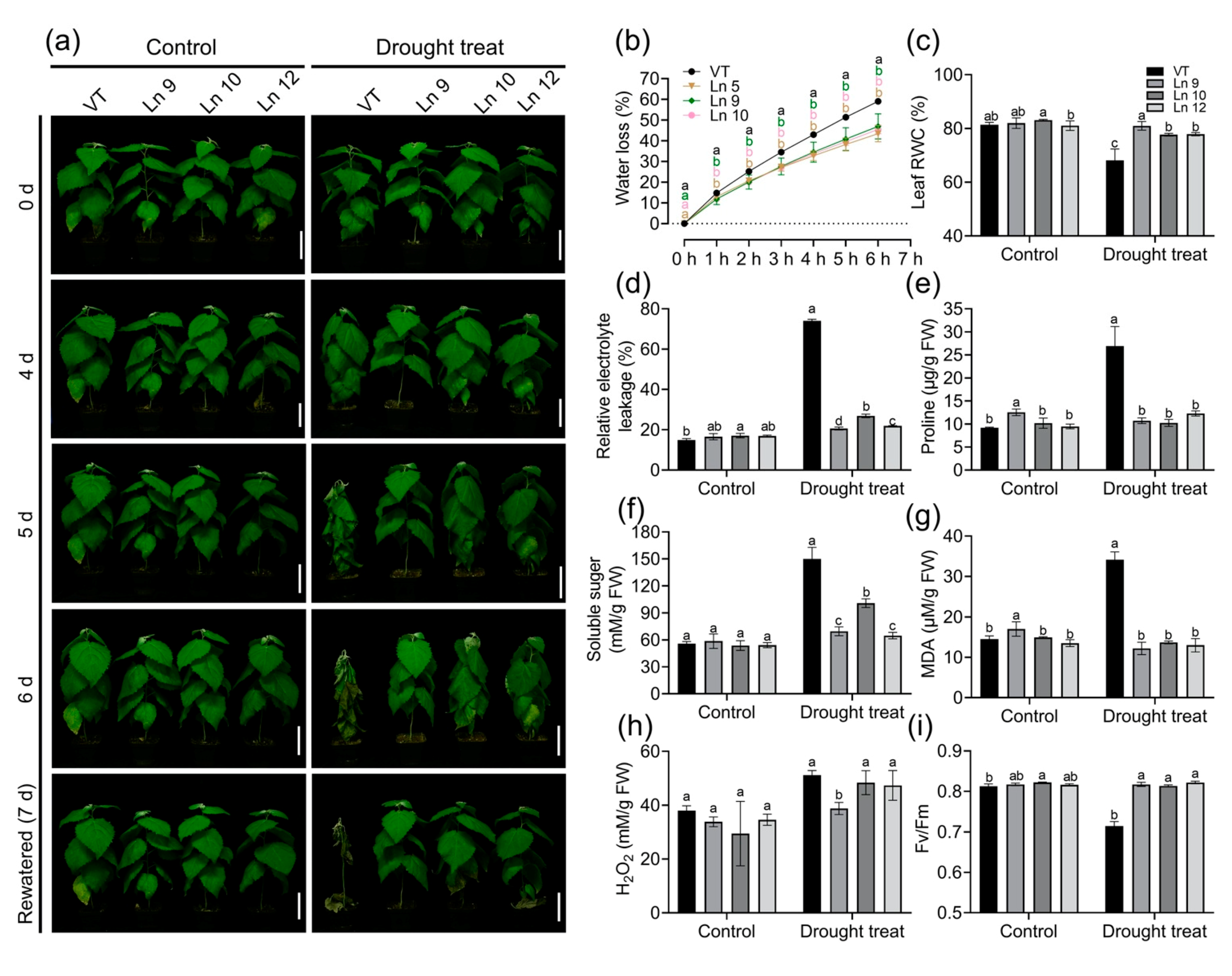 Ijms 22 07245 g005 550