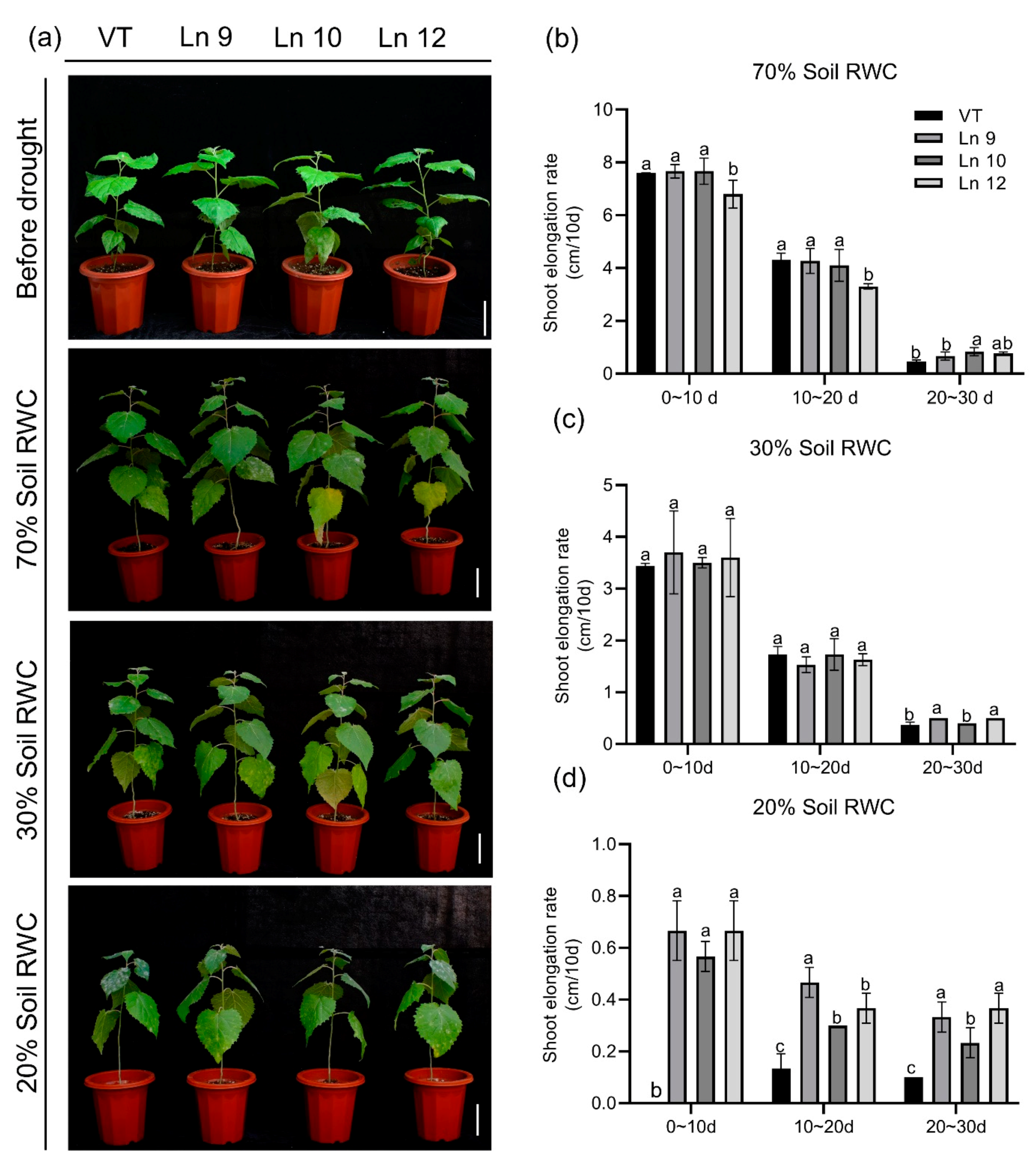 Ijms 22 07245 g007 550