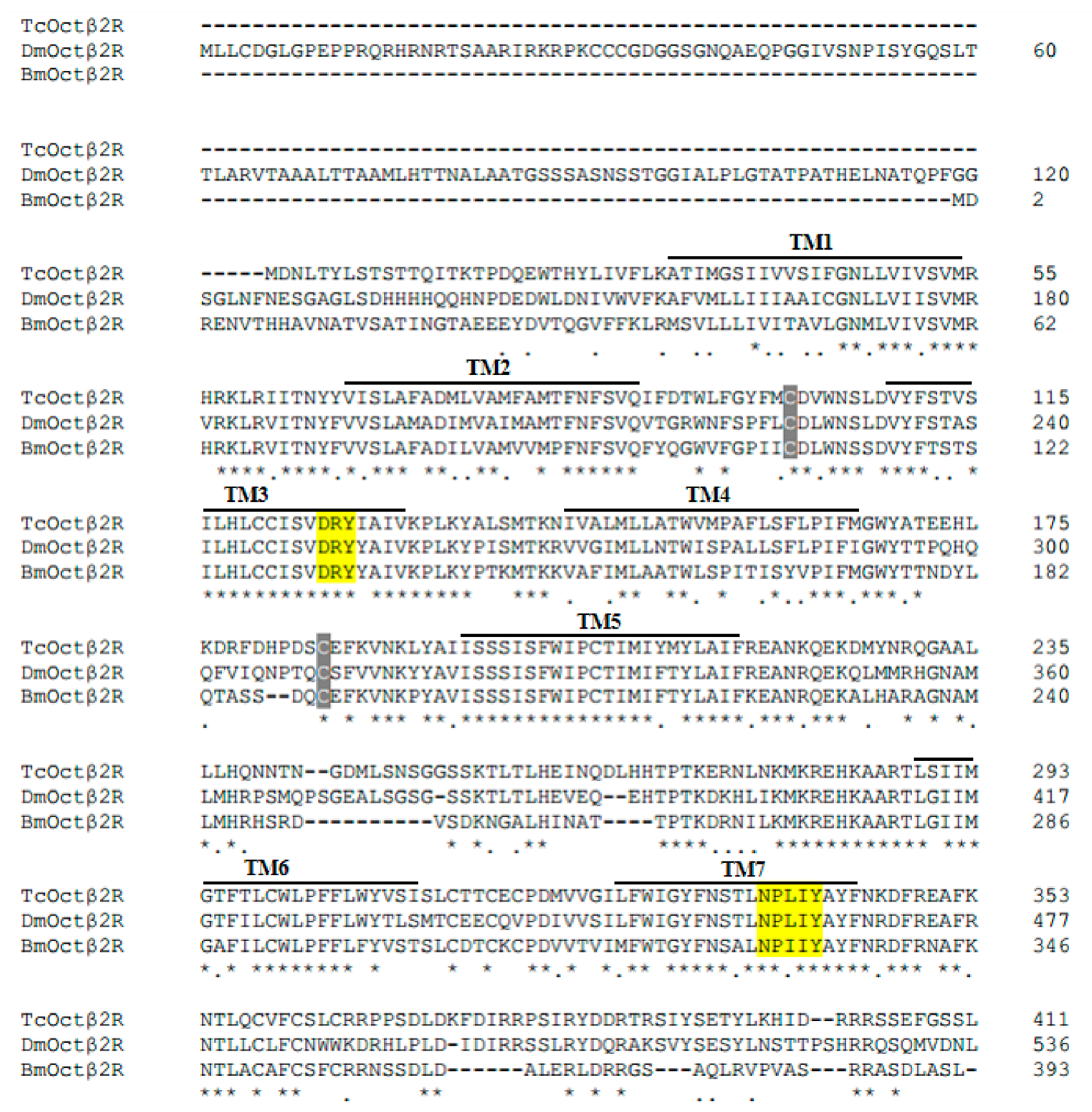 Ijms 22 07252 g001 550