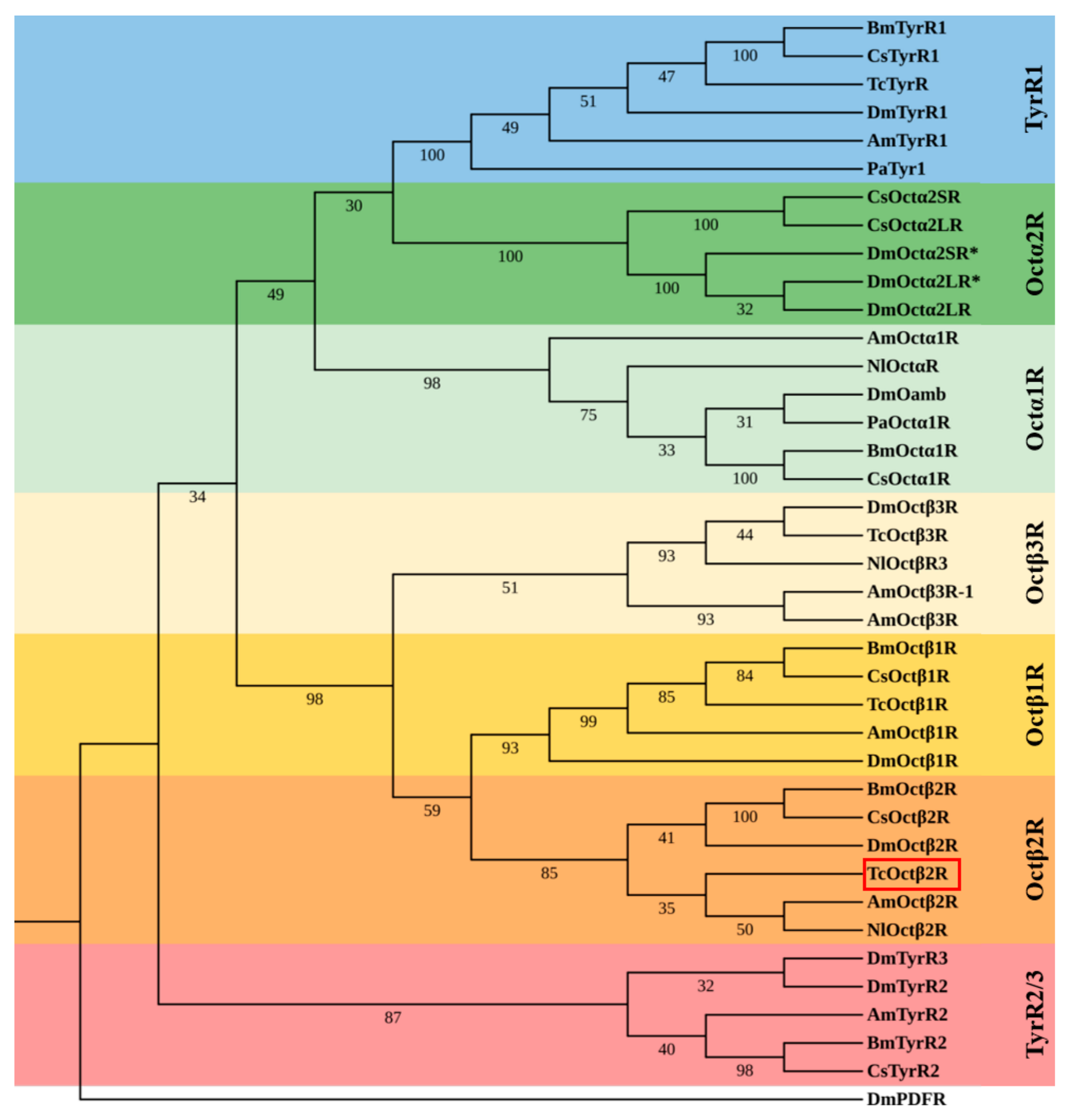 Ijms 22 07252 g002 550
